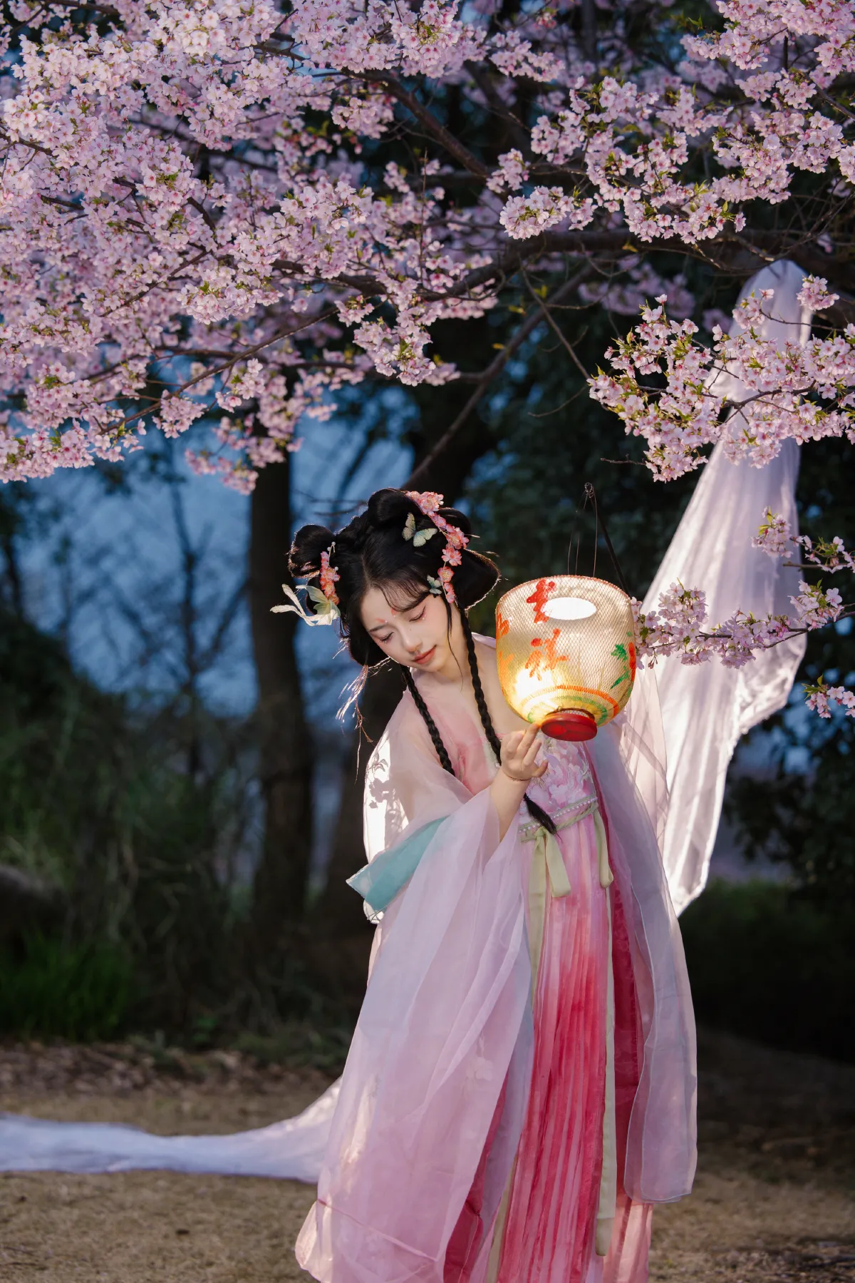 夜樱