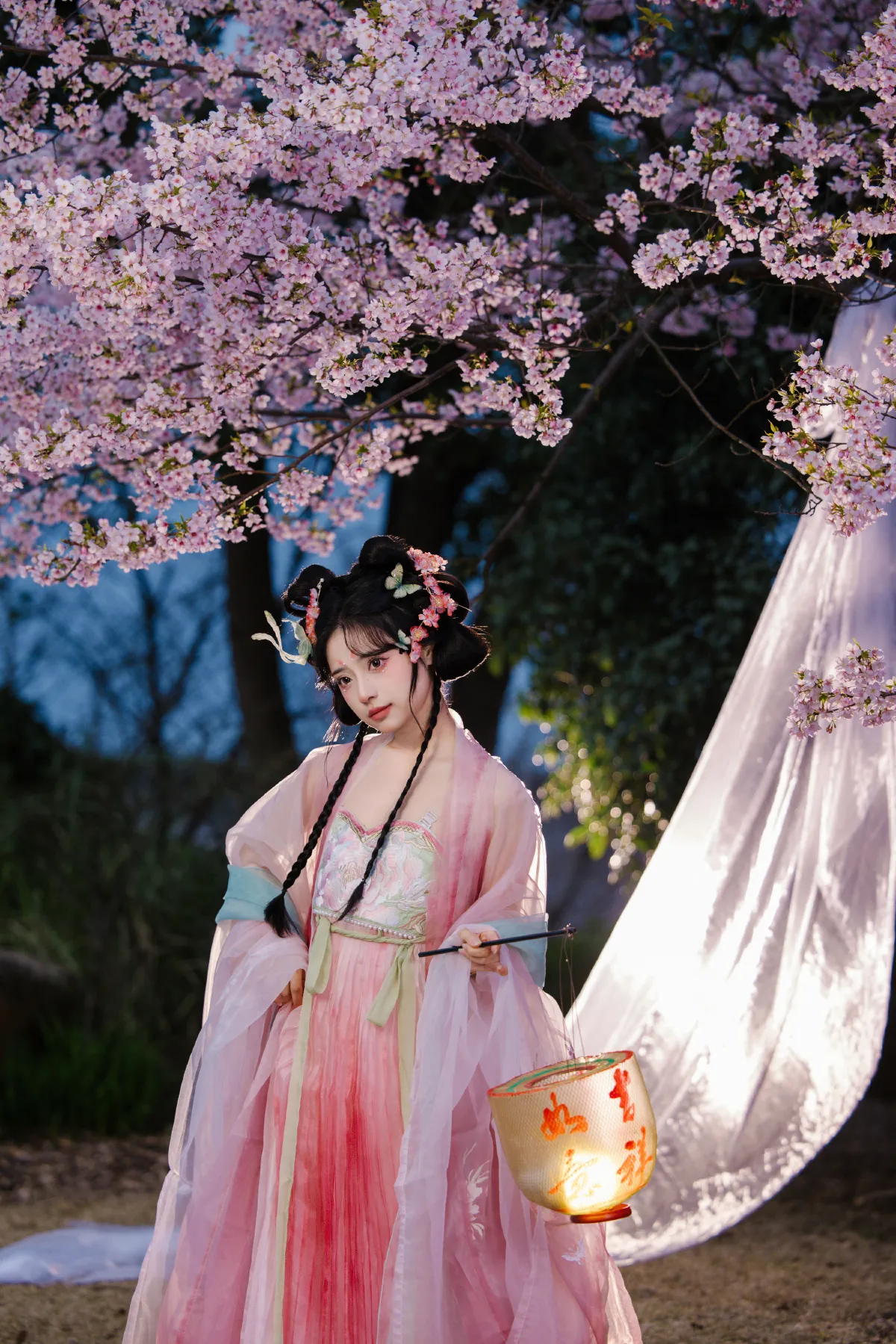 摄影米若_衔鹿《夜樱》美图作品图片4