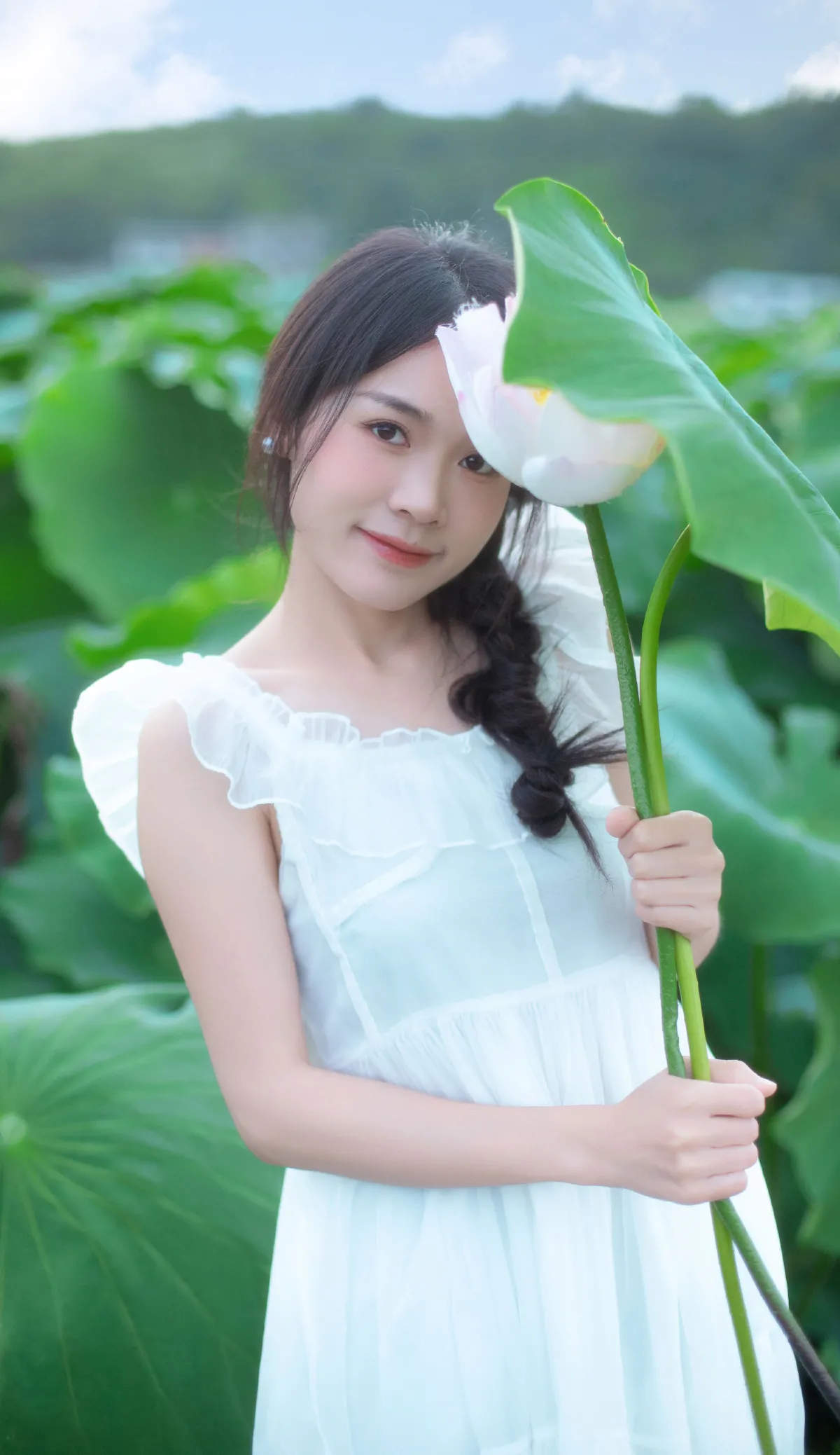 儿时的那片荷田1