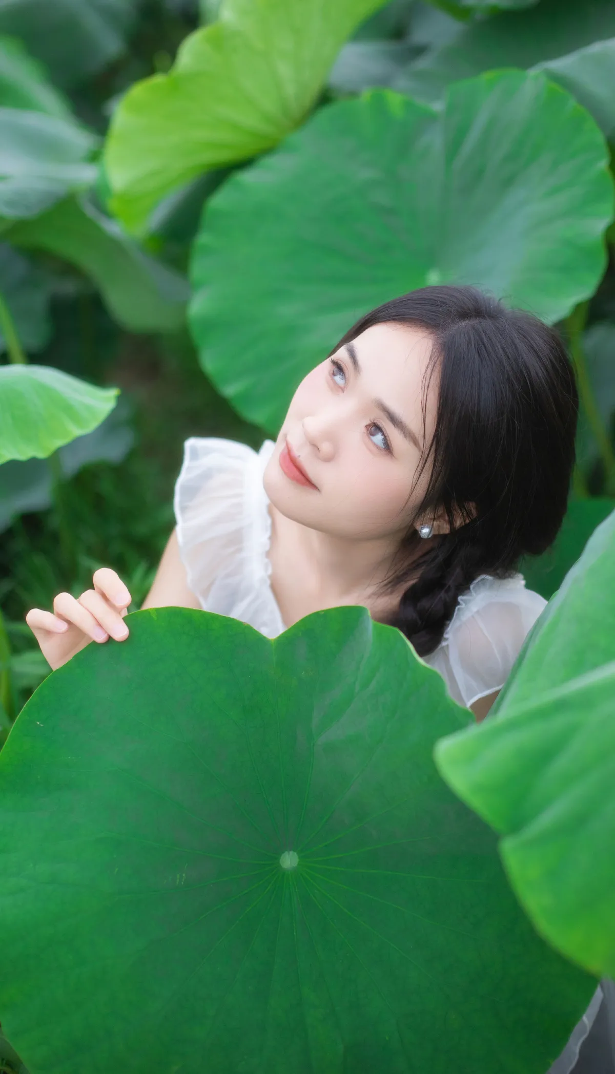 儿时的那片荷田