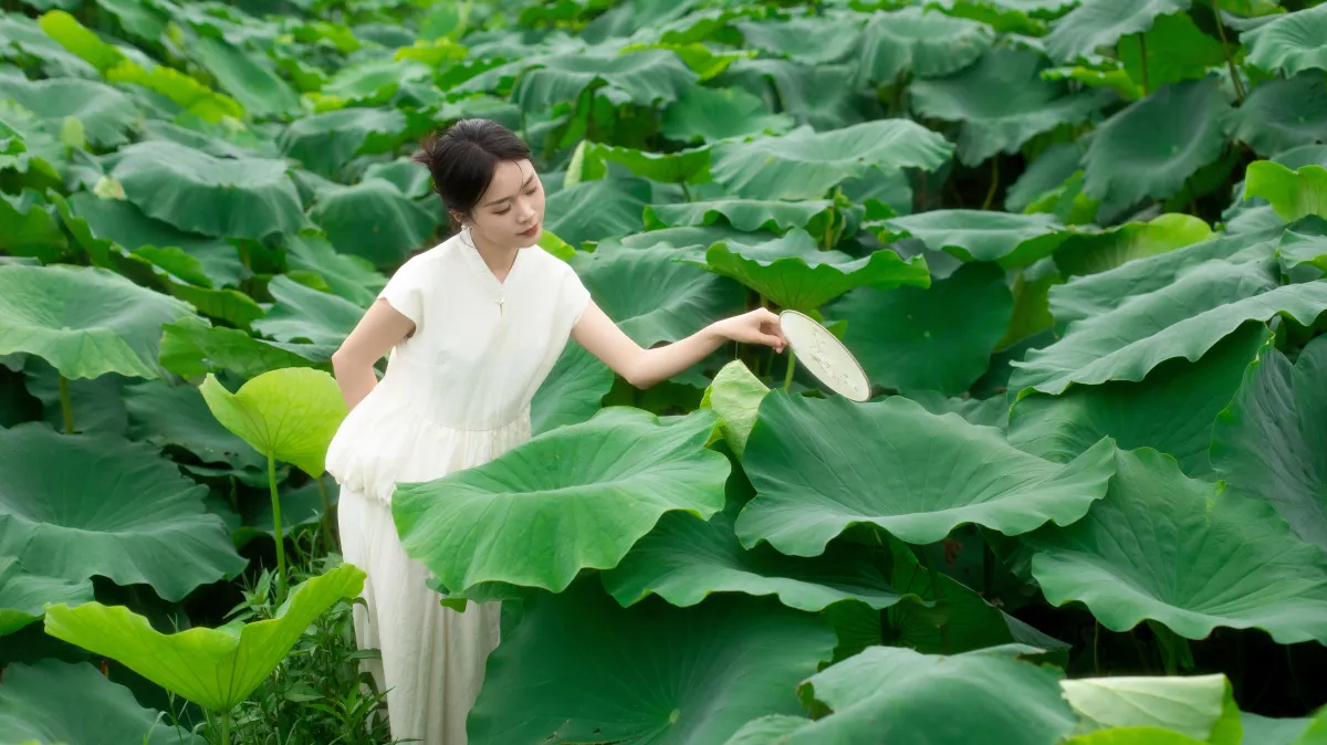 青陵_一《夏日荷香》美图作品图片1