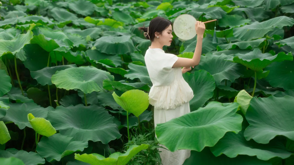 青陵_一《夏日荷香》美图作品图片2
