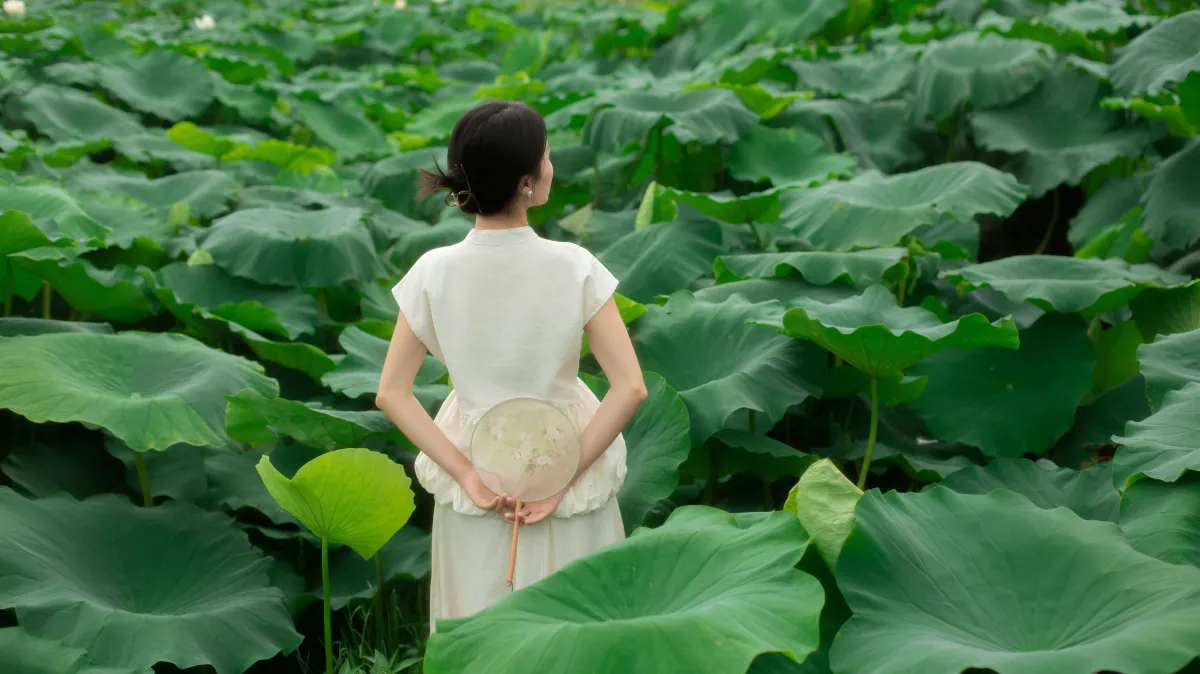 青陵_一《夏日荷香》美图作品图片3