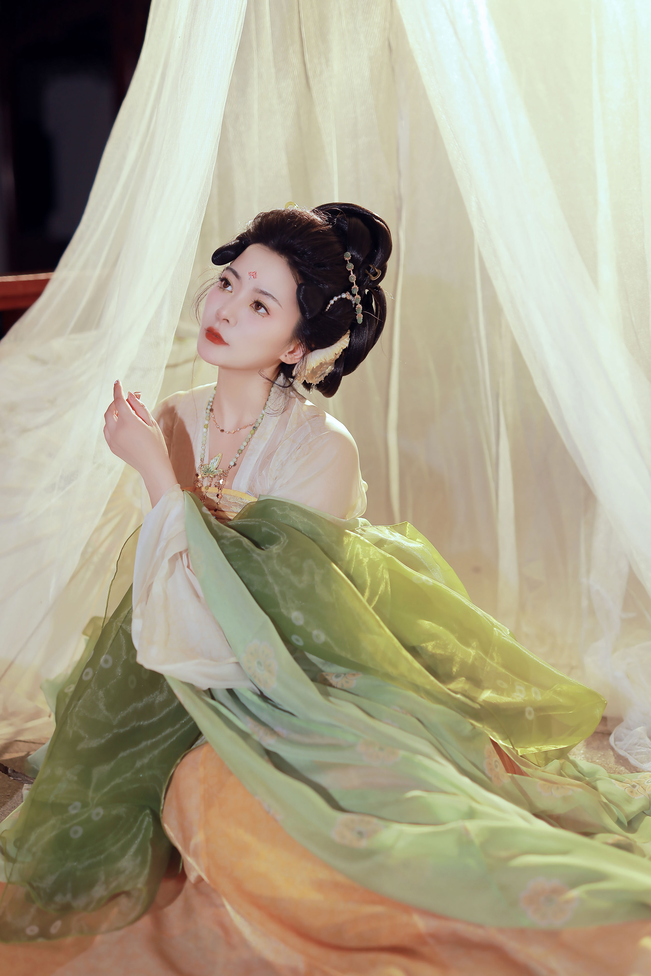 探故知1