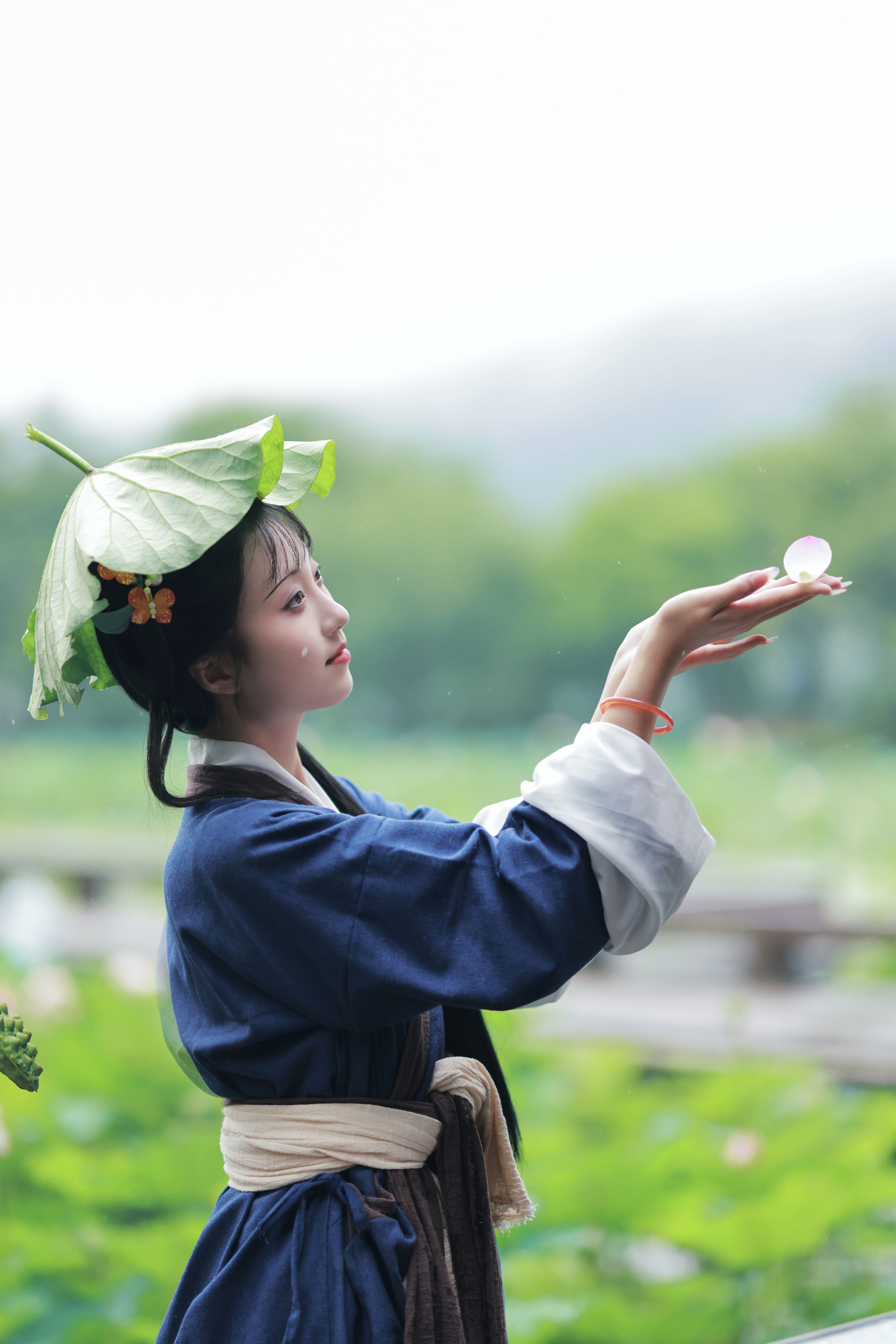 黛玉赏荷