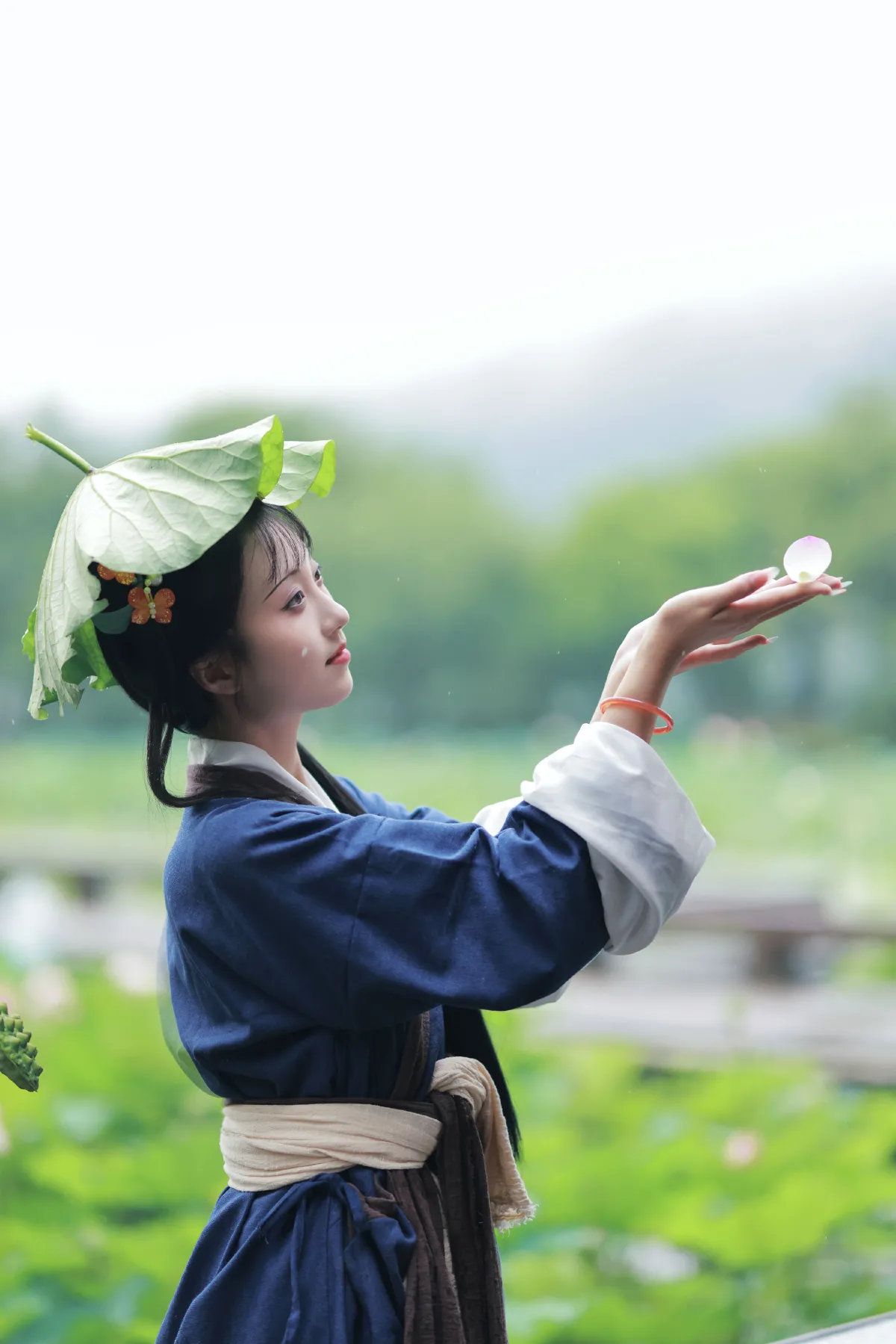 黛玉赏荷1