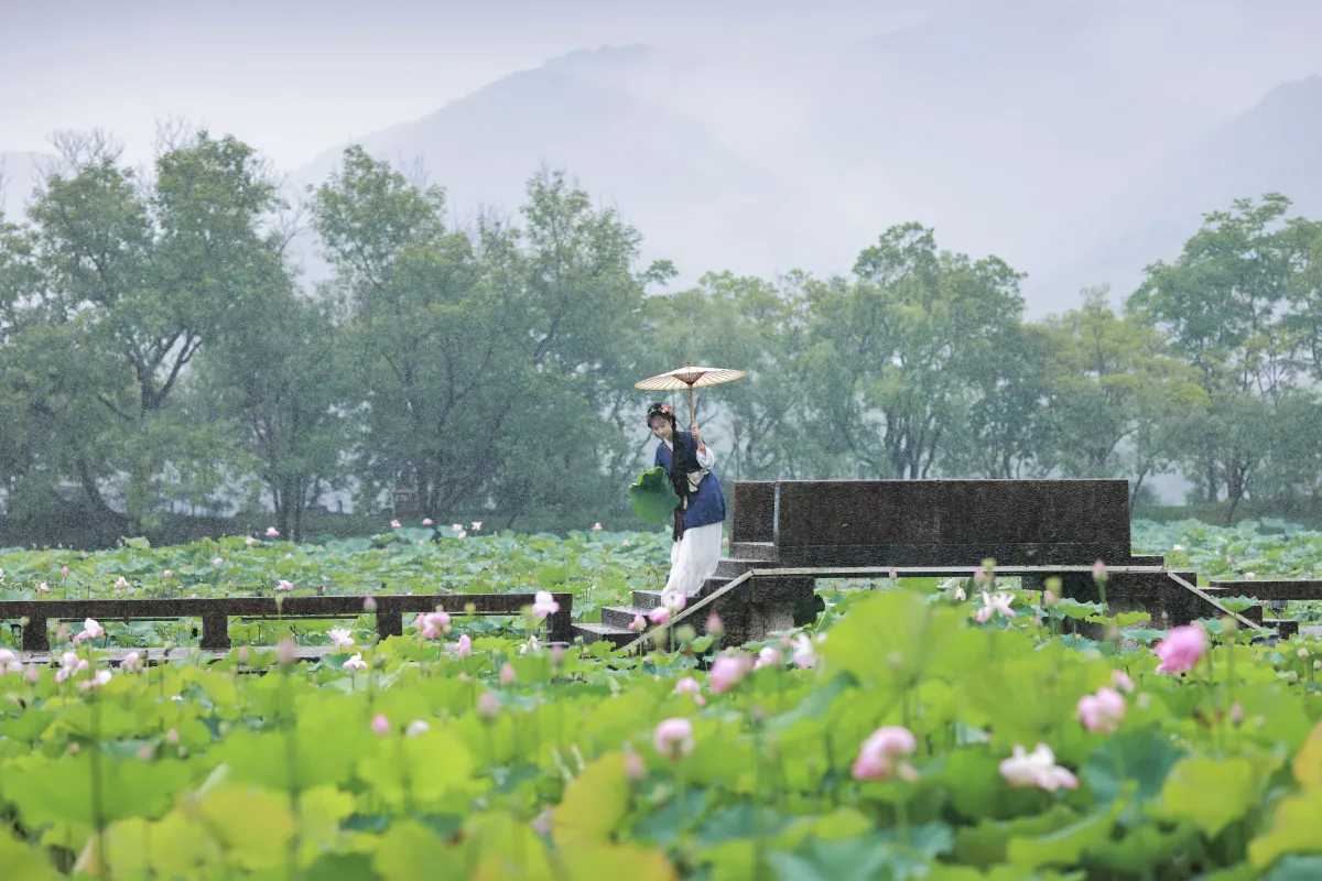 从暮暮_君茹《黛玉赏荷》美图作品图片5