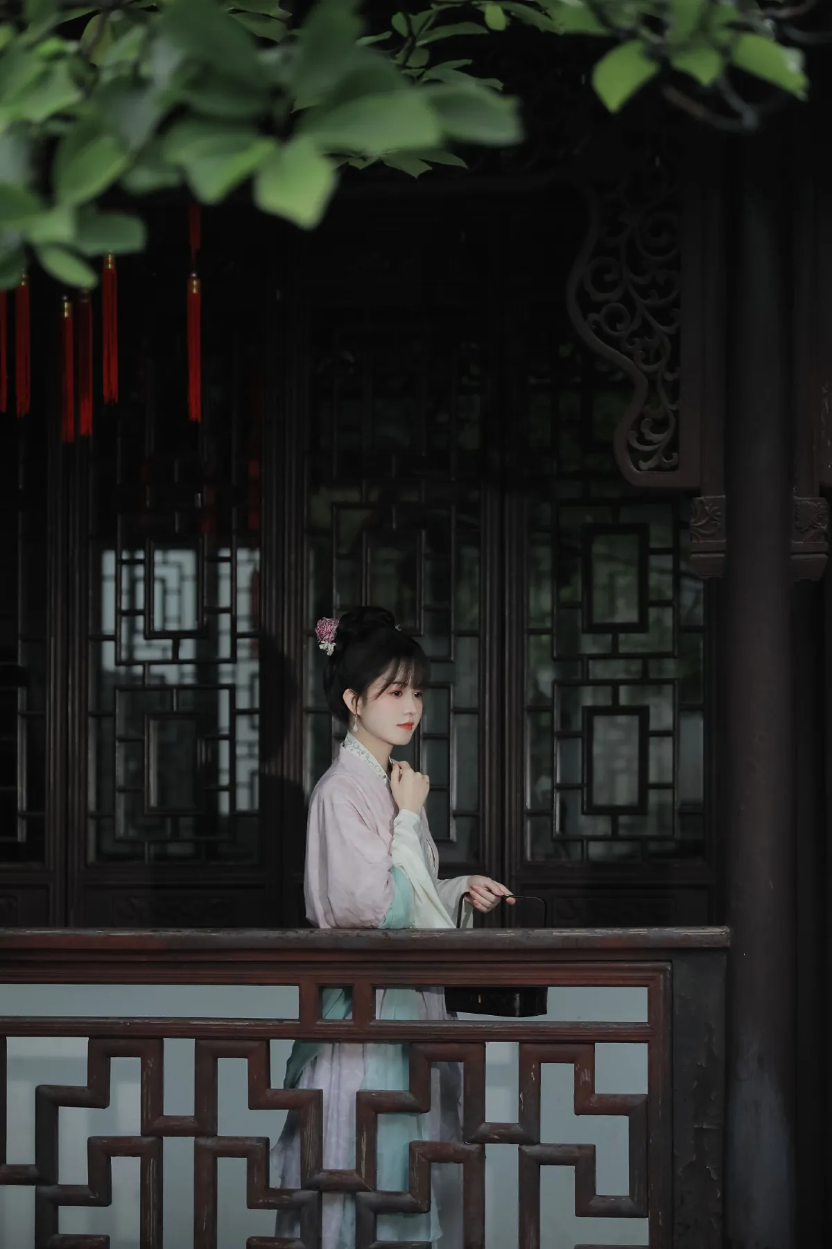 红楼看雨3