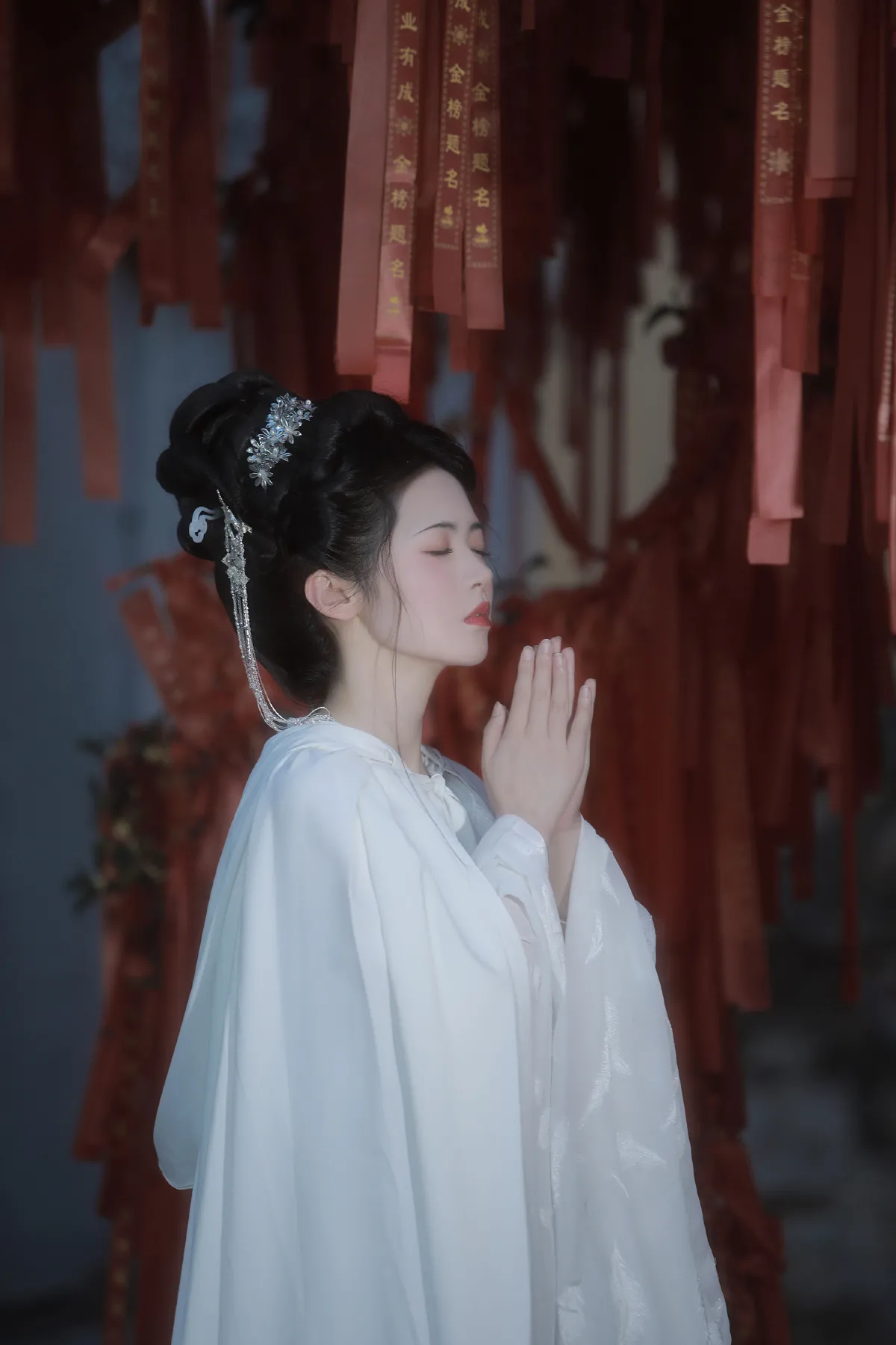 青山有色，白鹤忘机5