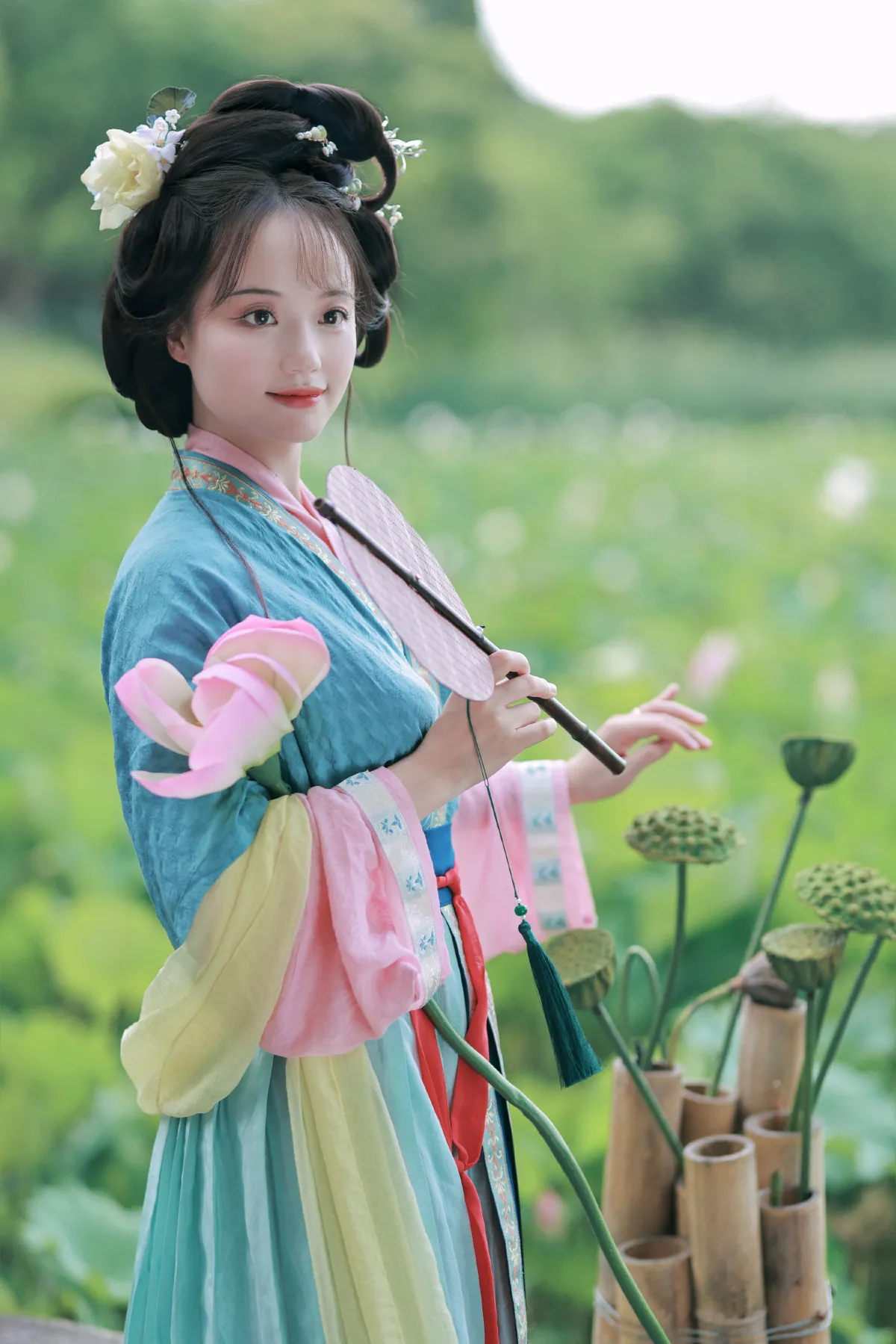 误入藕花深处1