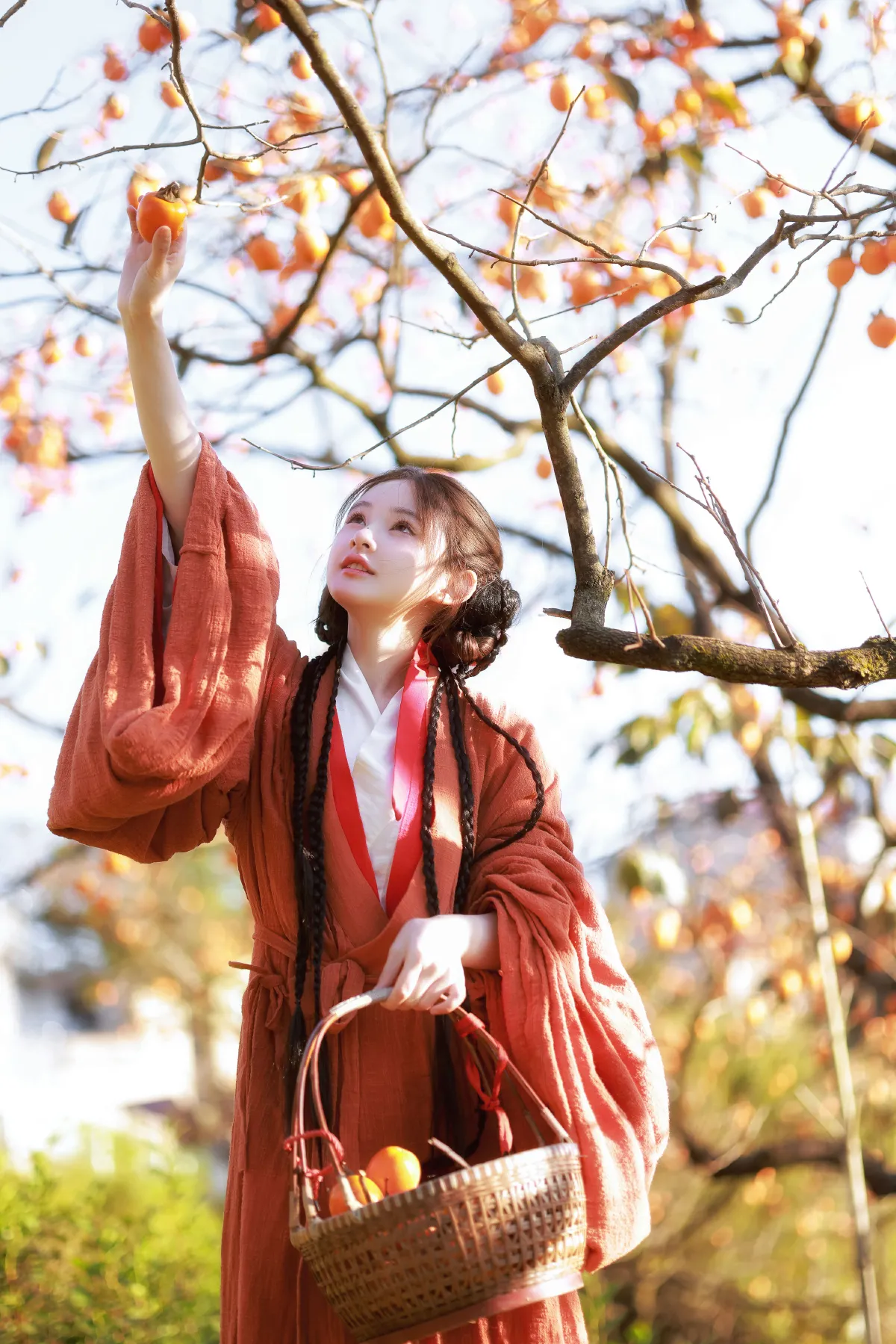 柿子