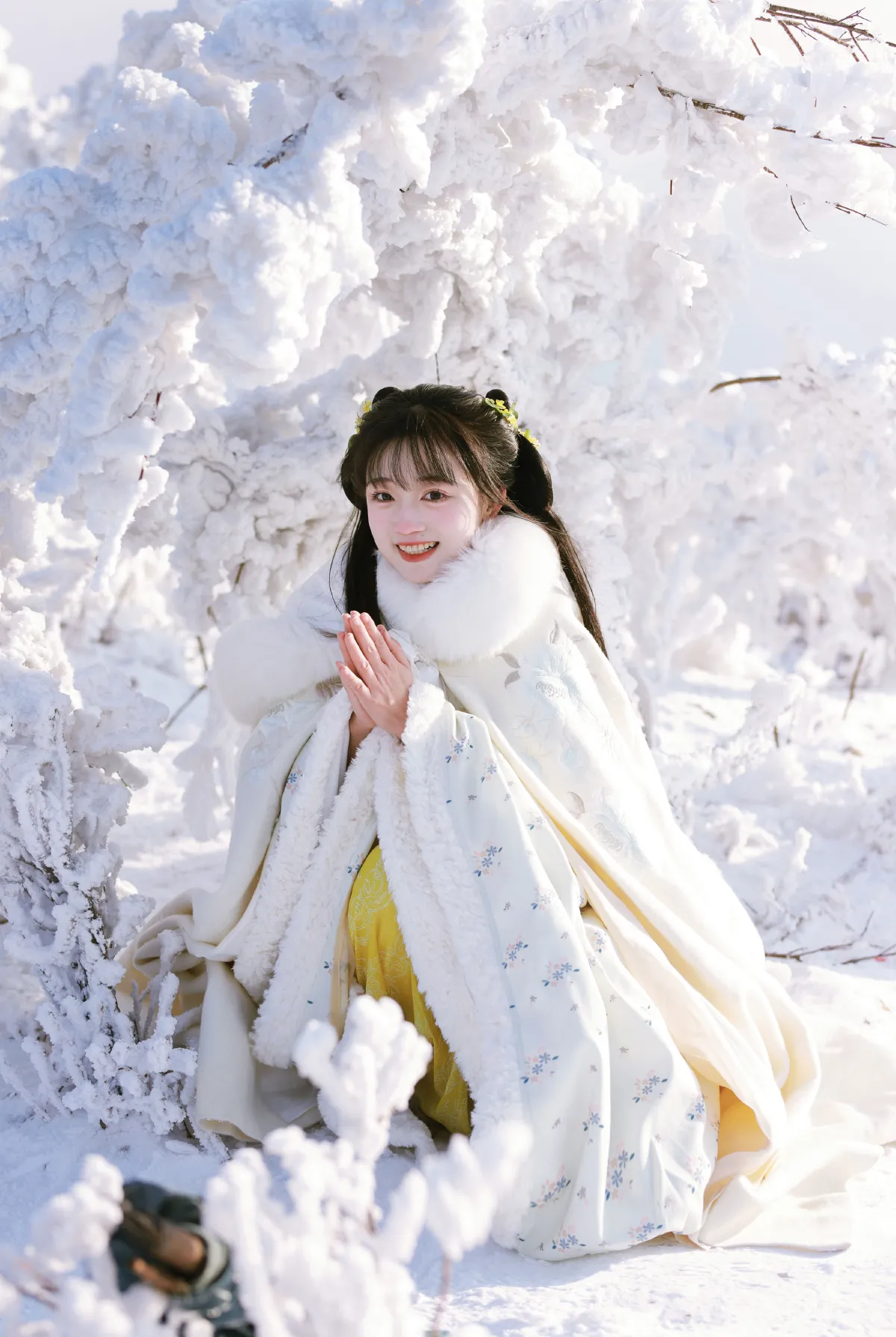 风雪千山