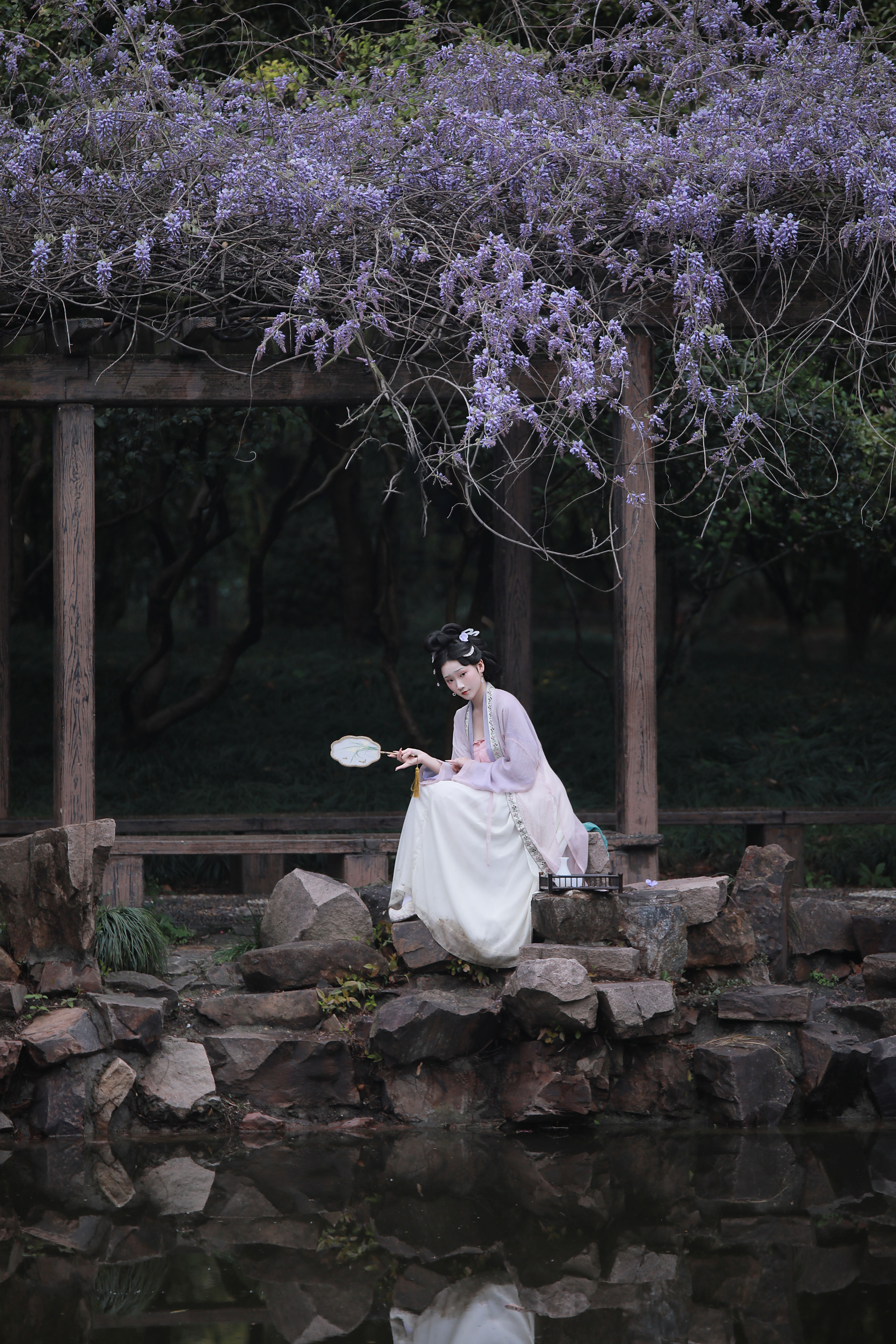 紫藤花