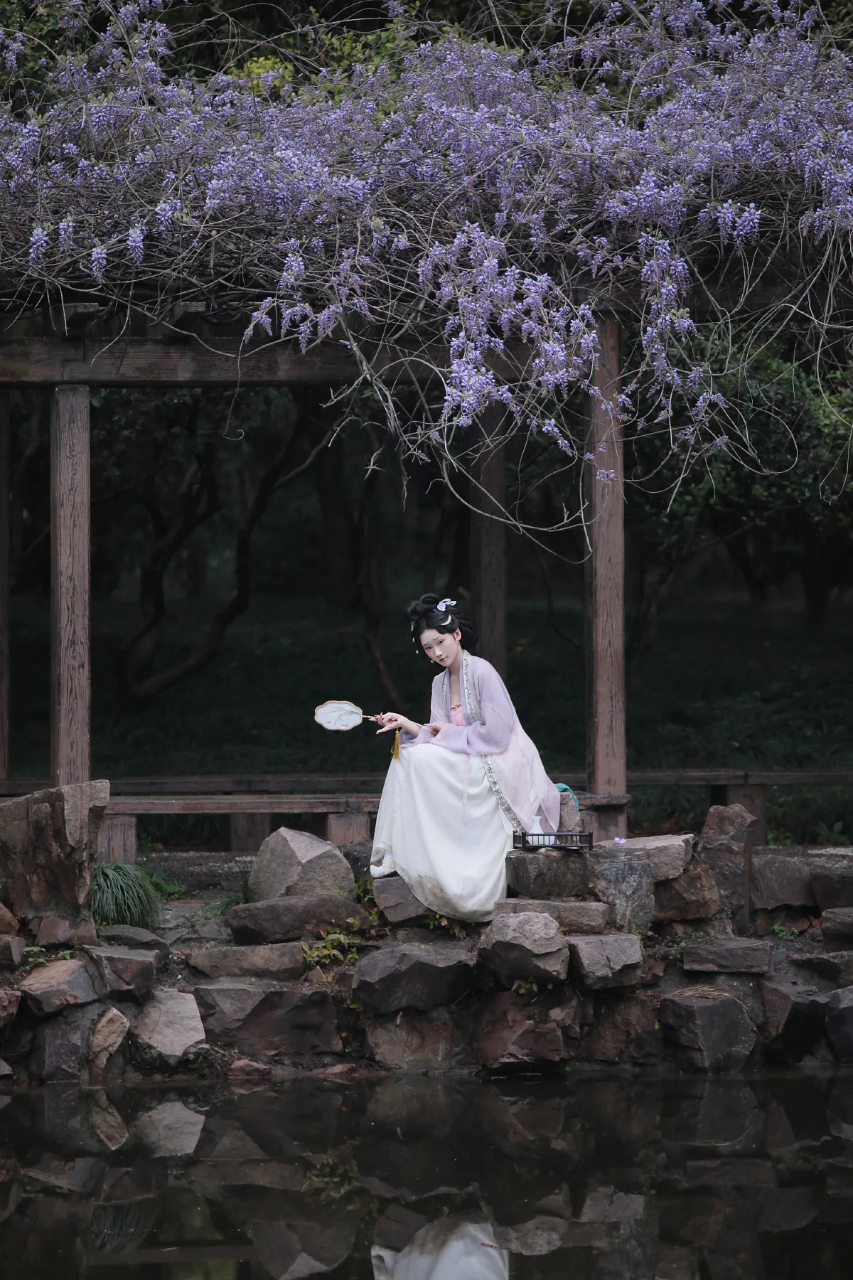 紫藤花