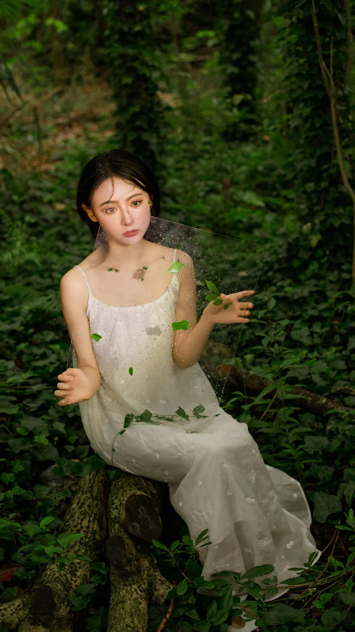 树叶摇曳，心跳共振