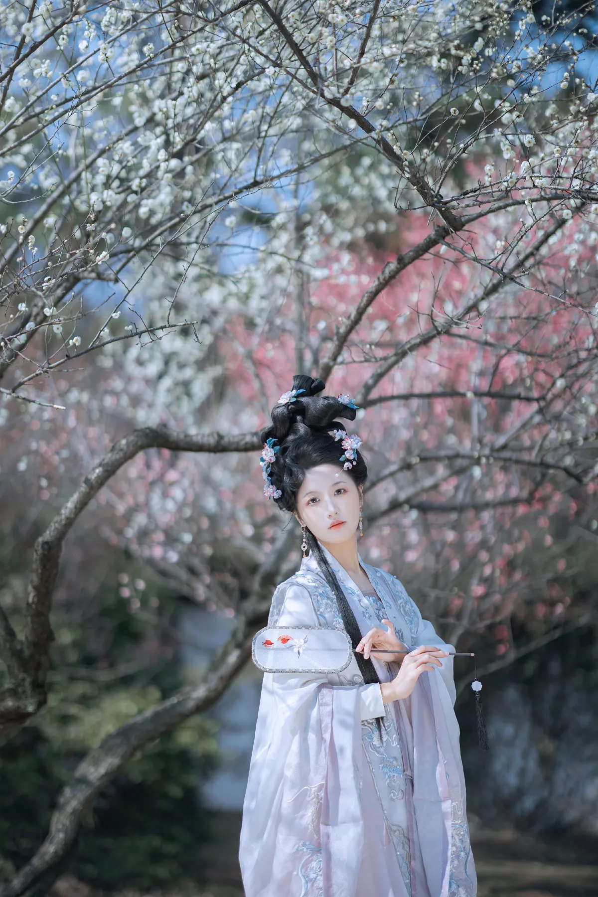 江南梅花1