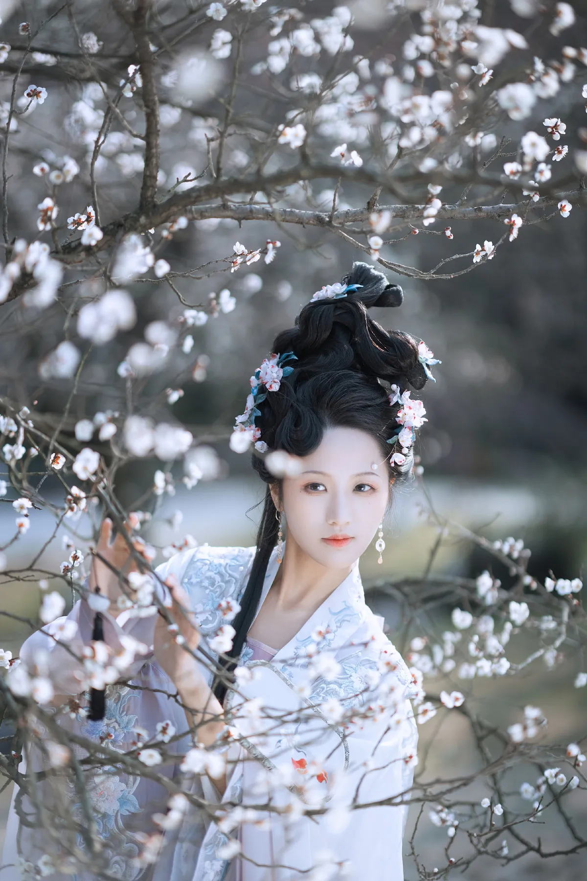 江南梅花2