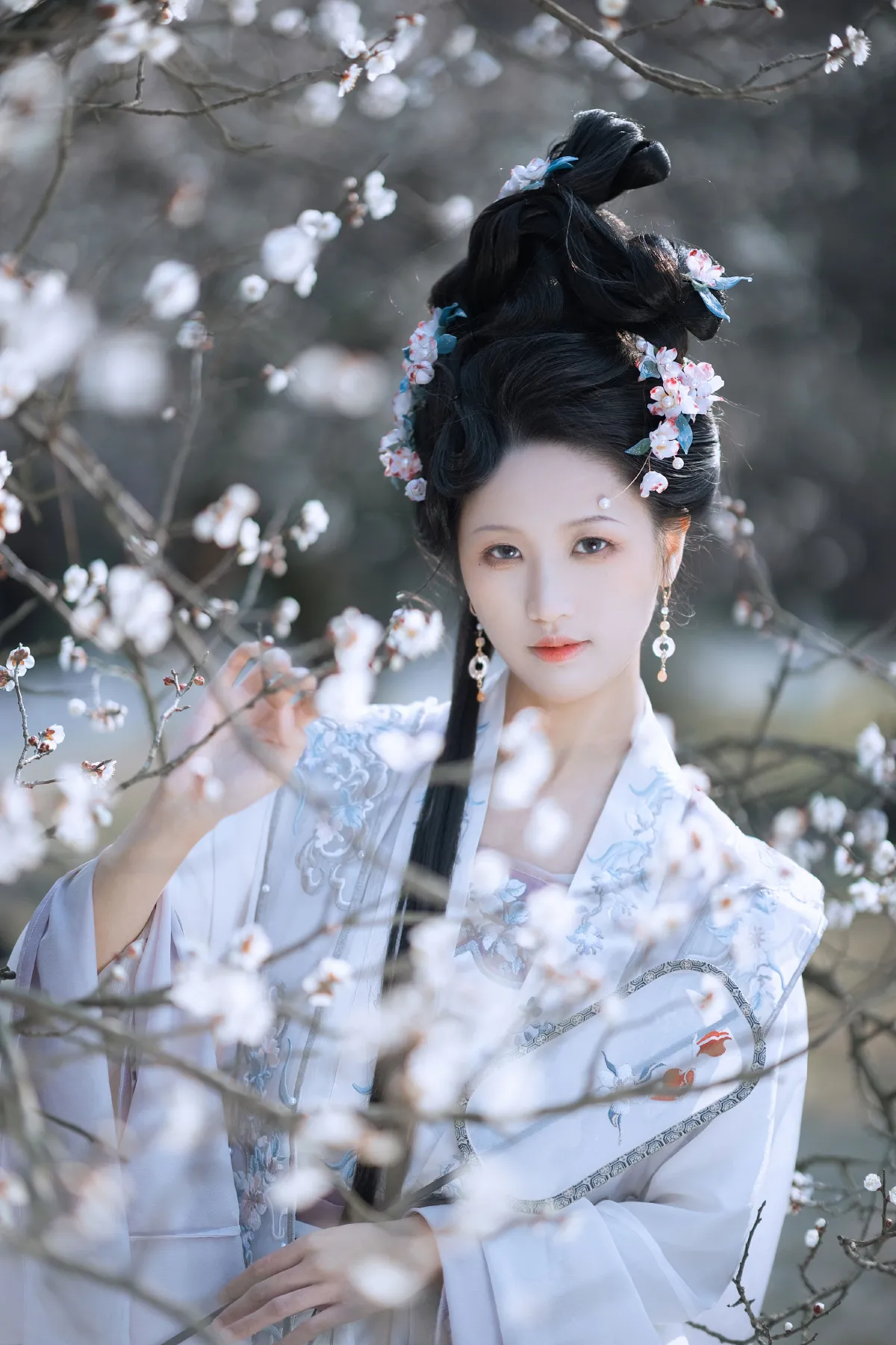 江南梅花