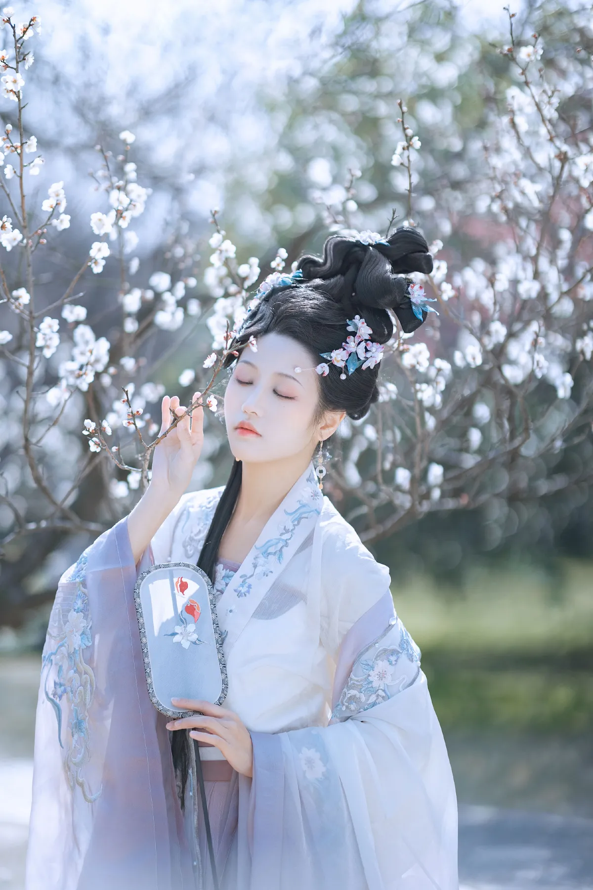 江南梅花