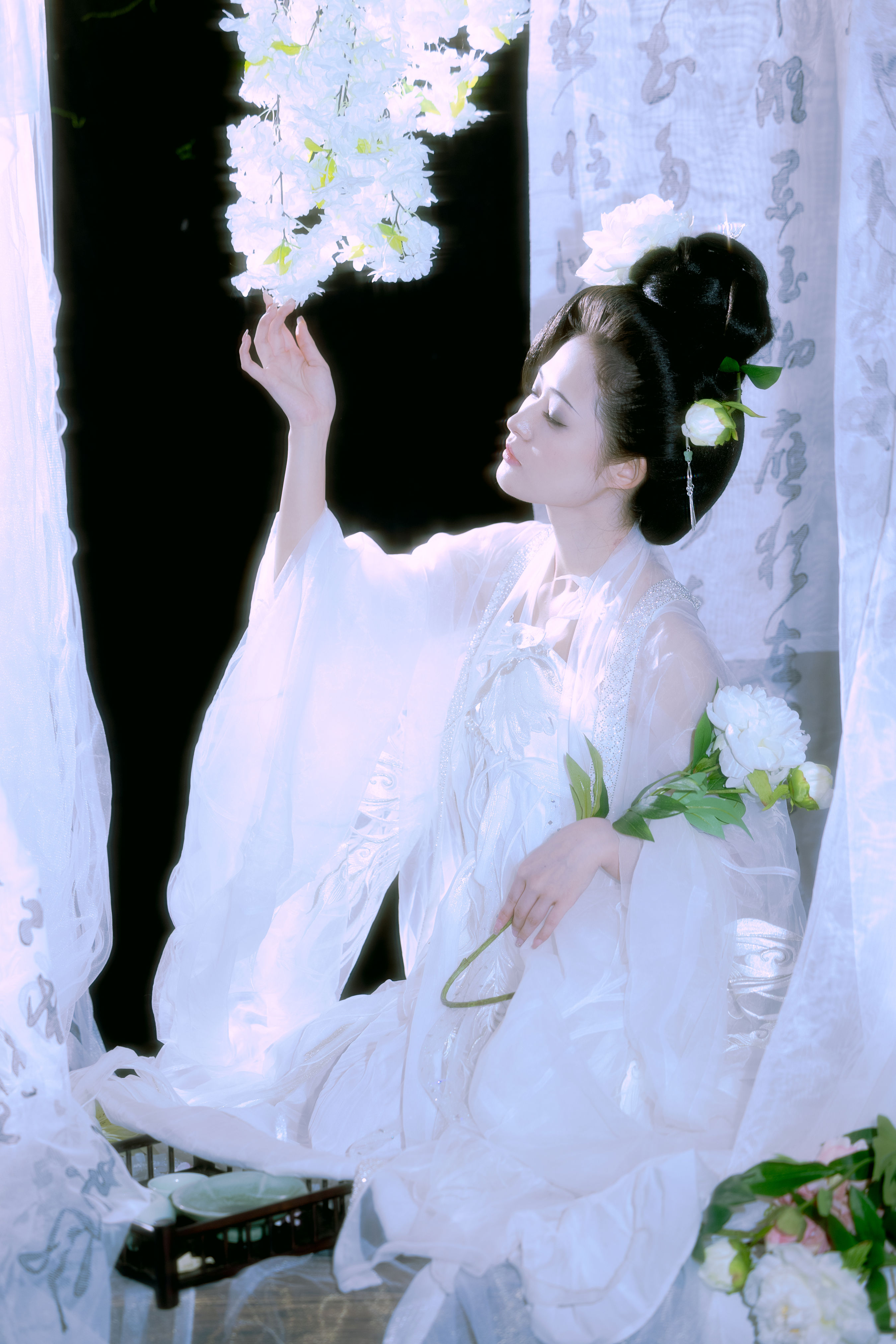 白牡丹