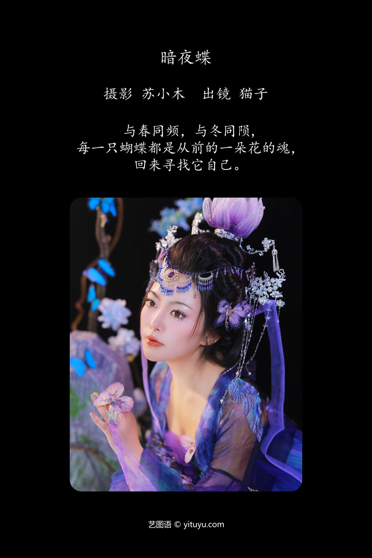 苏小木_猫子子《暗夜蝶》美图作品图片2