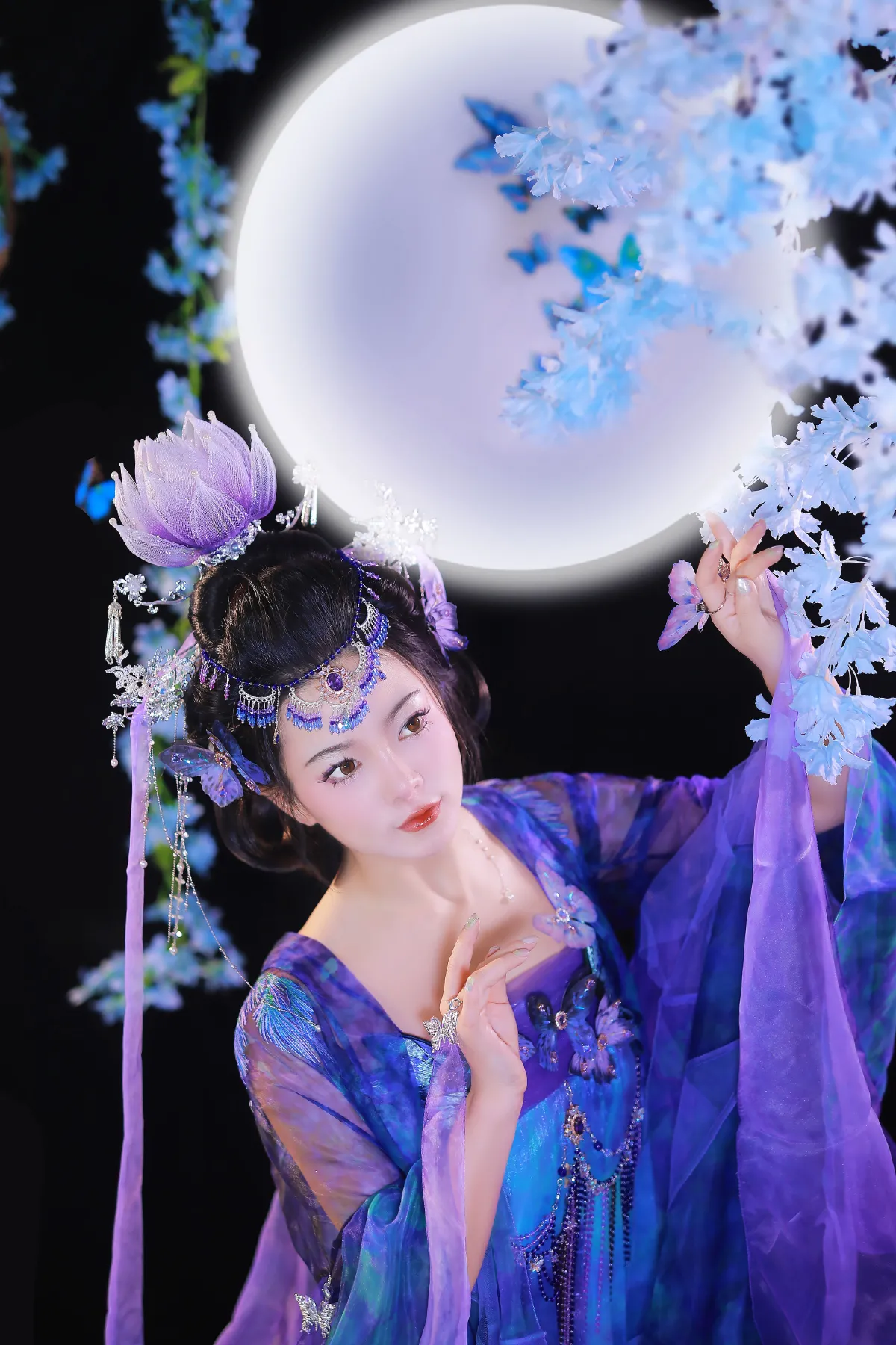 暗夜蝶1