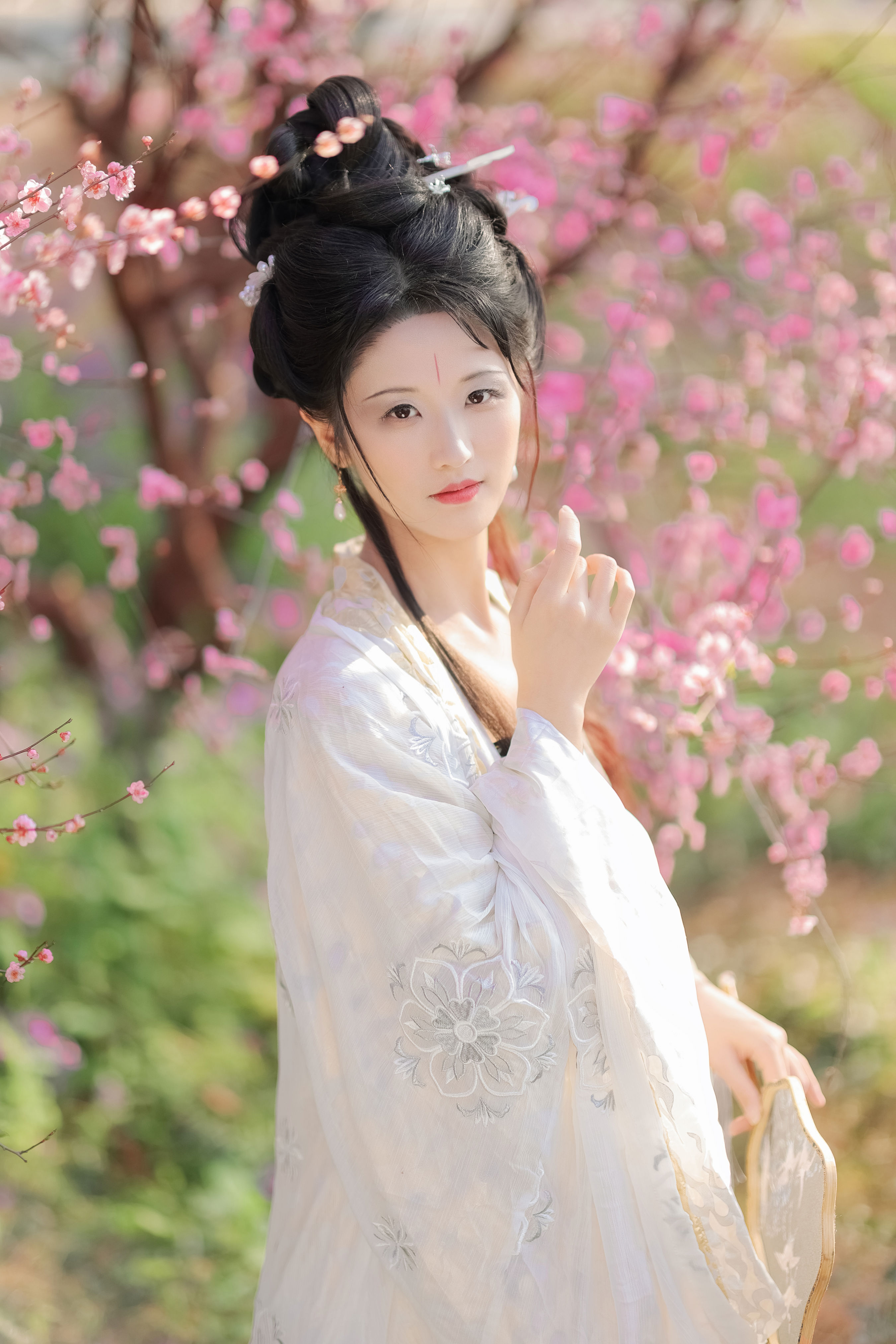 醉花阴1
