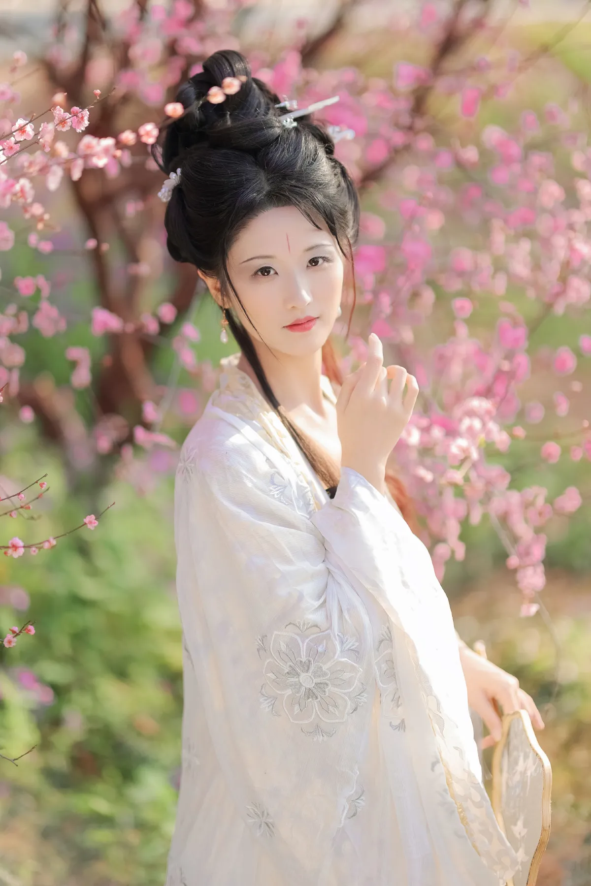 醉花阴1