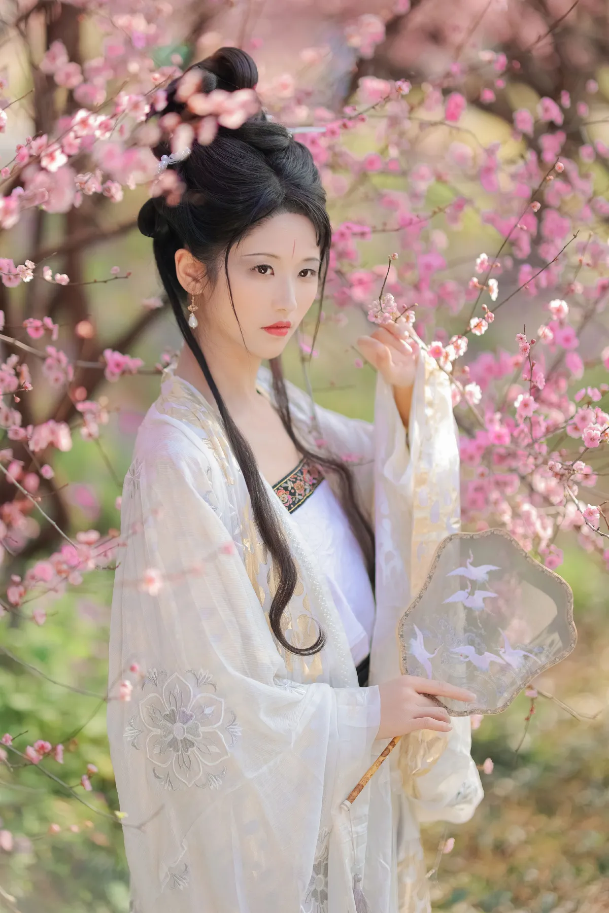 醉花阴