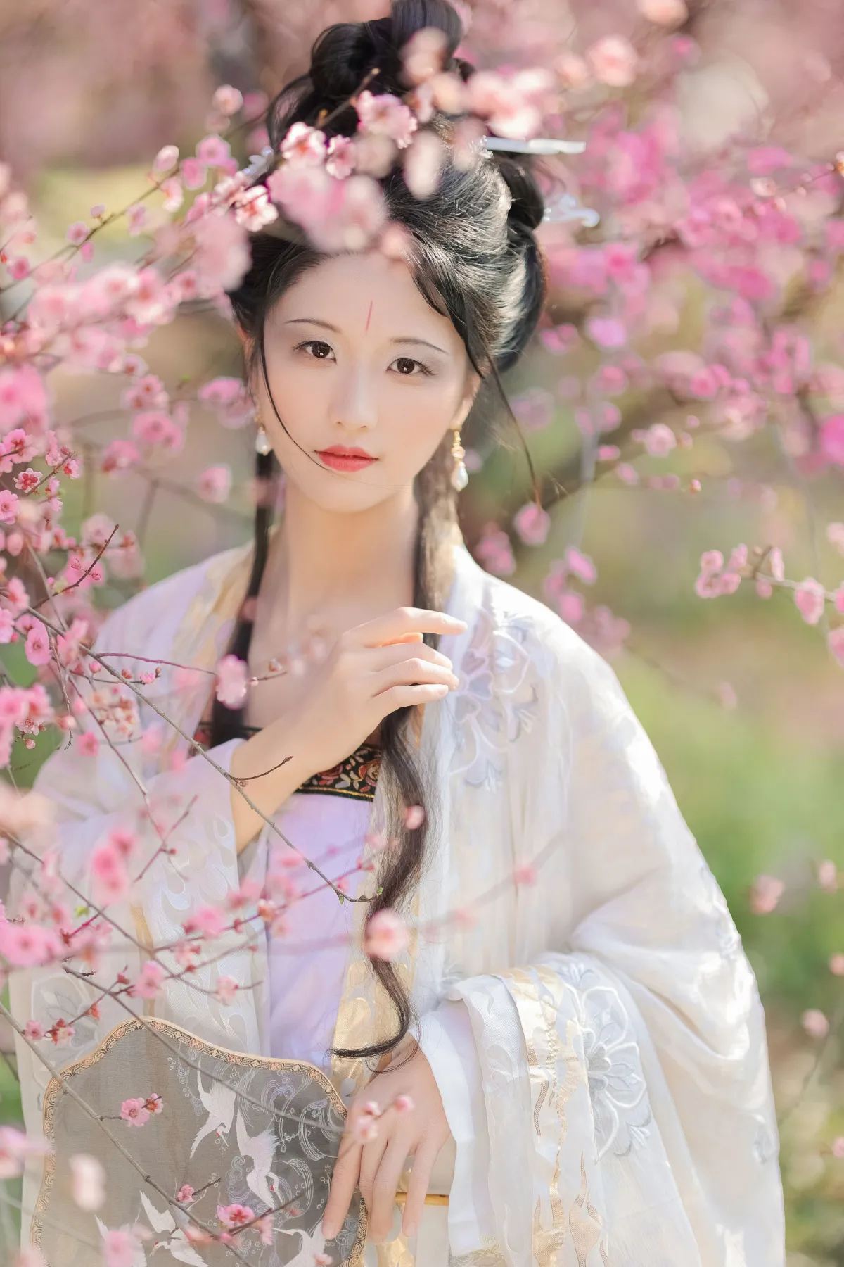 醉花阴3