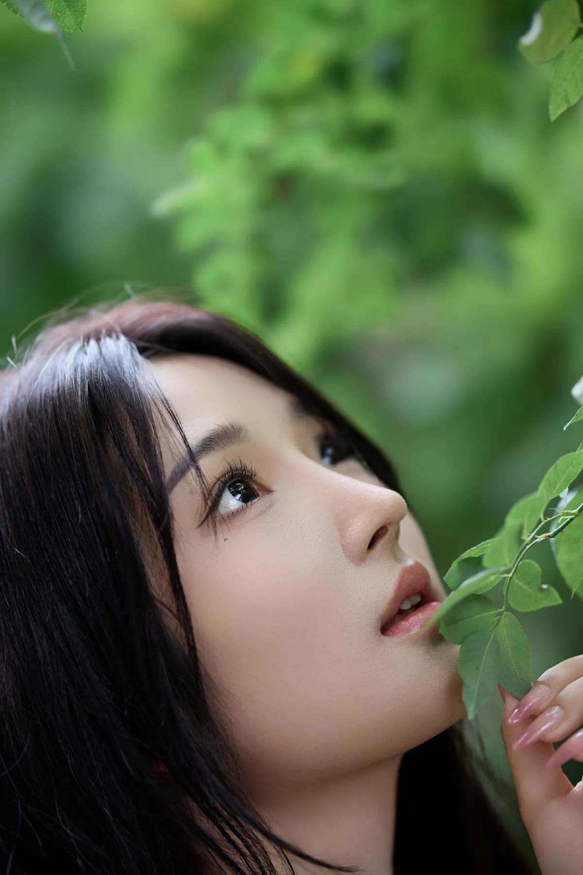清新夏日