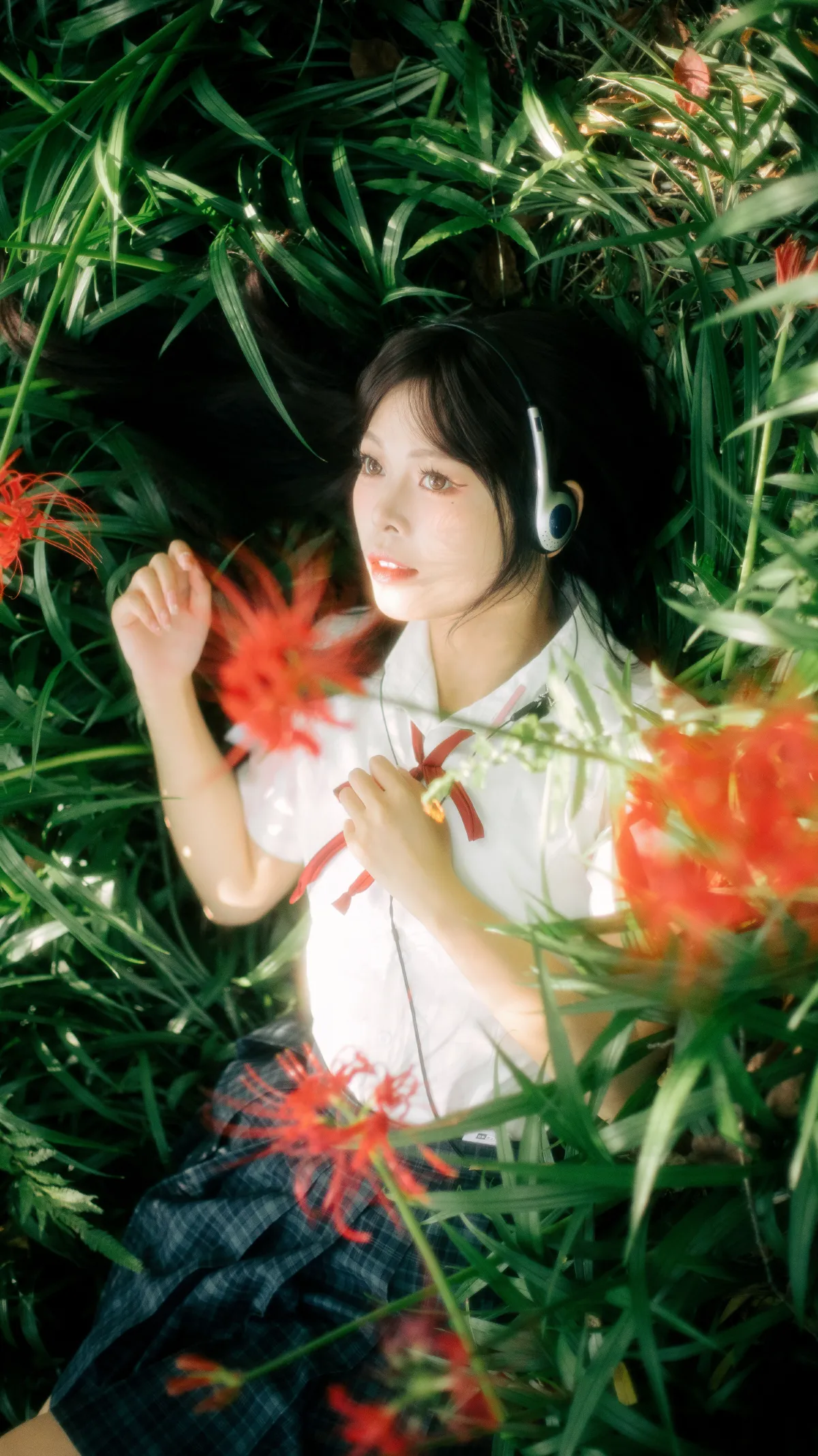 彼岸花1