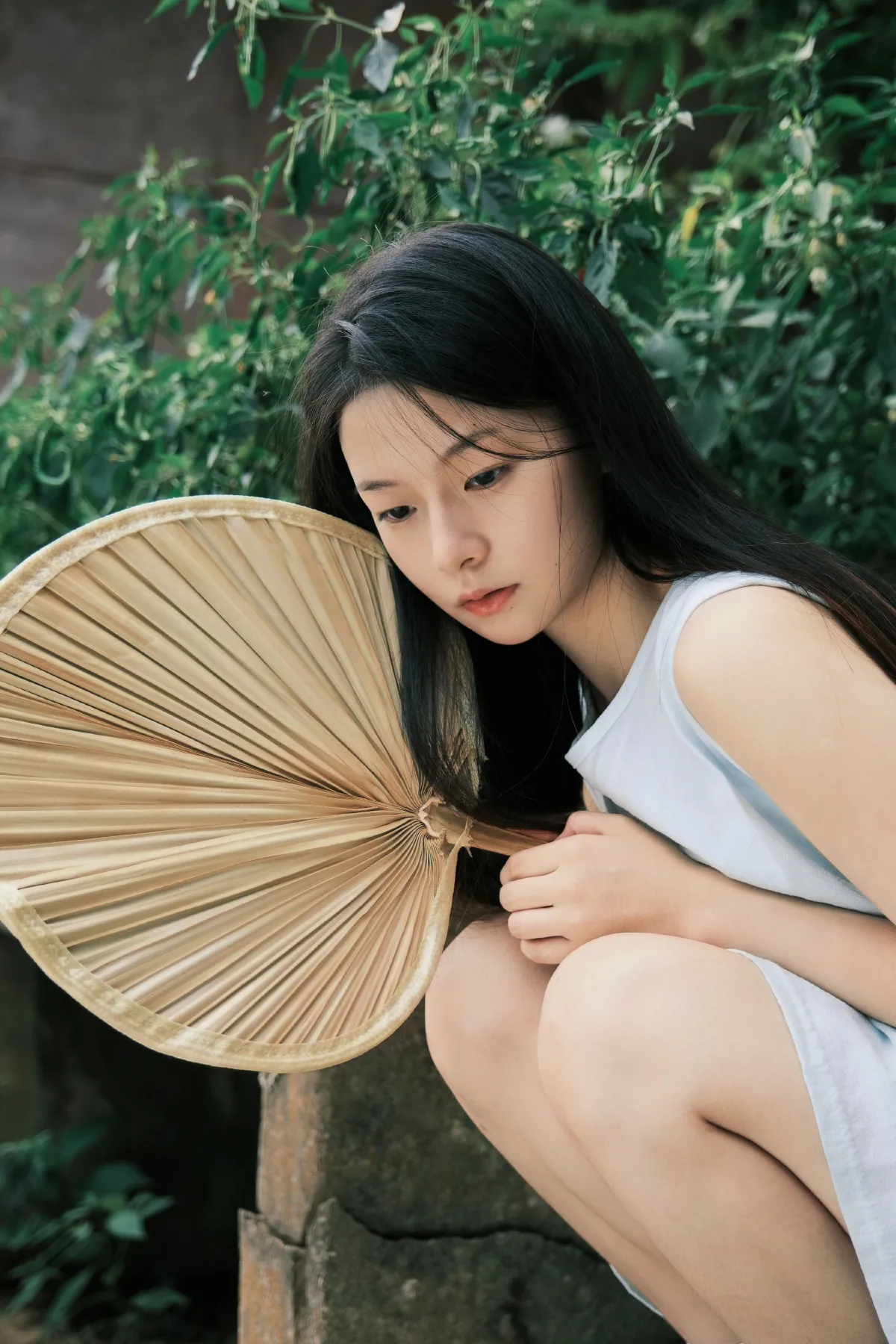 那个盛夏