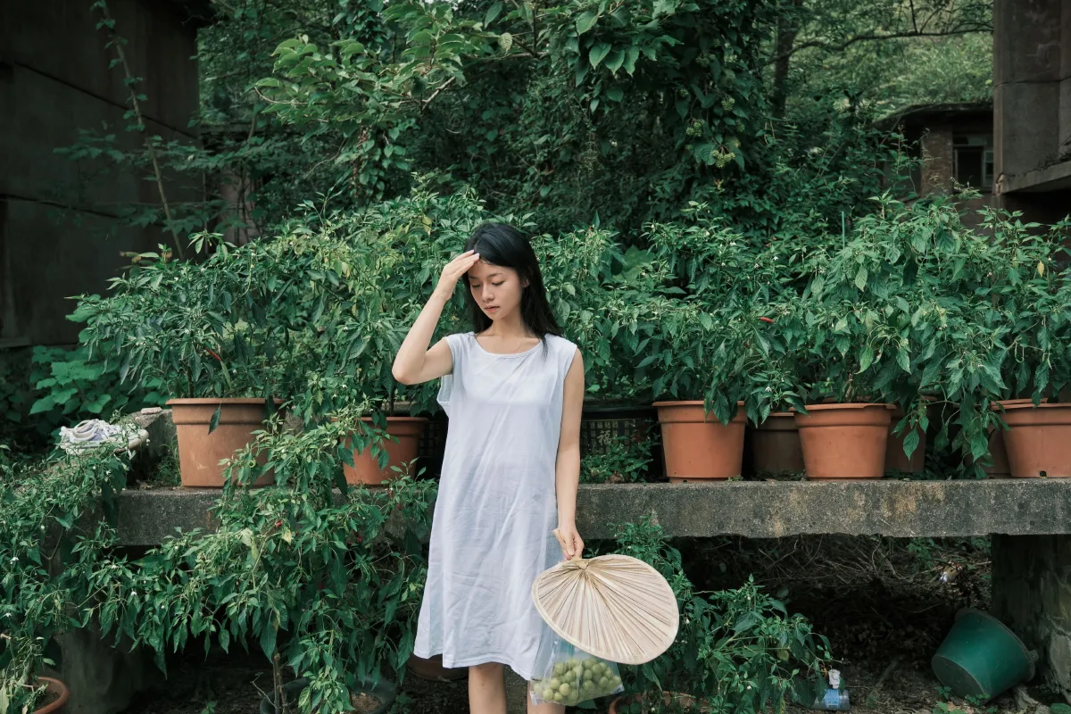 那个盛夏