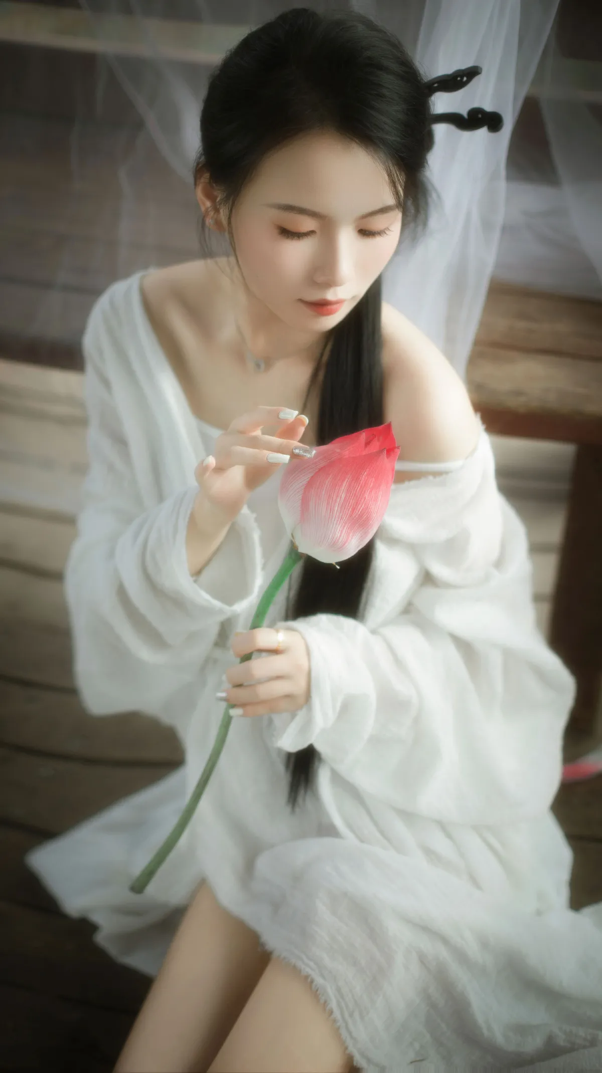 秋荷