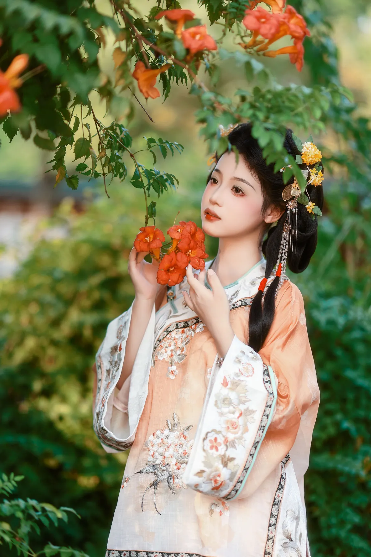 凌霄花1