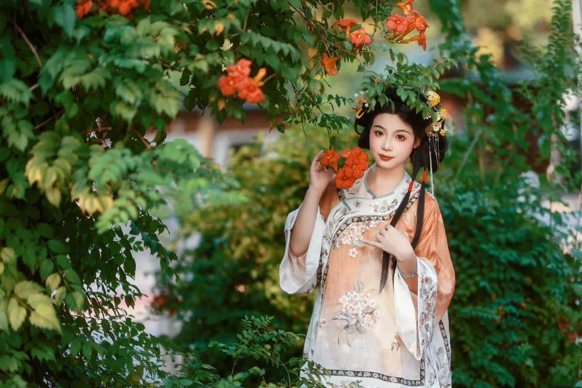 凌霄花3