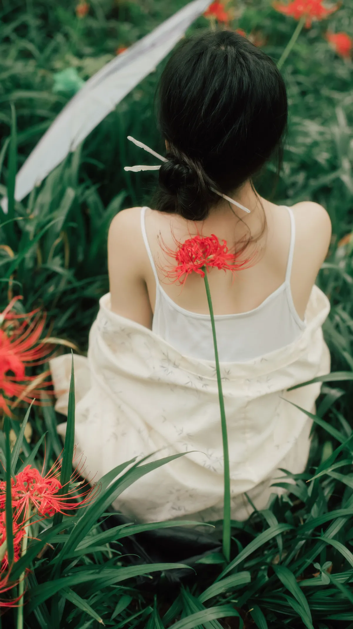 曼珠沙华3