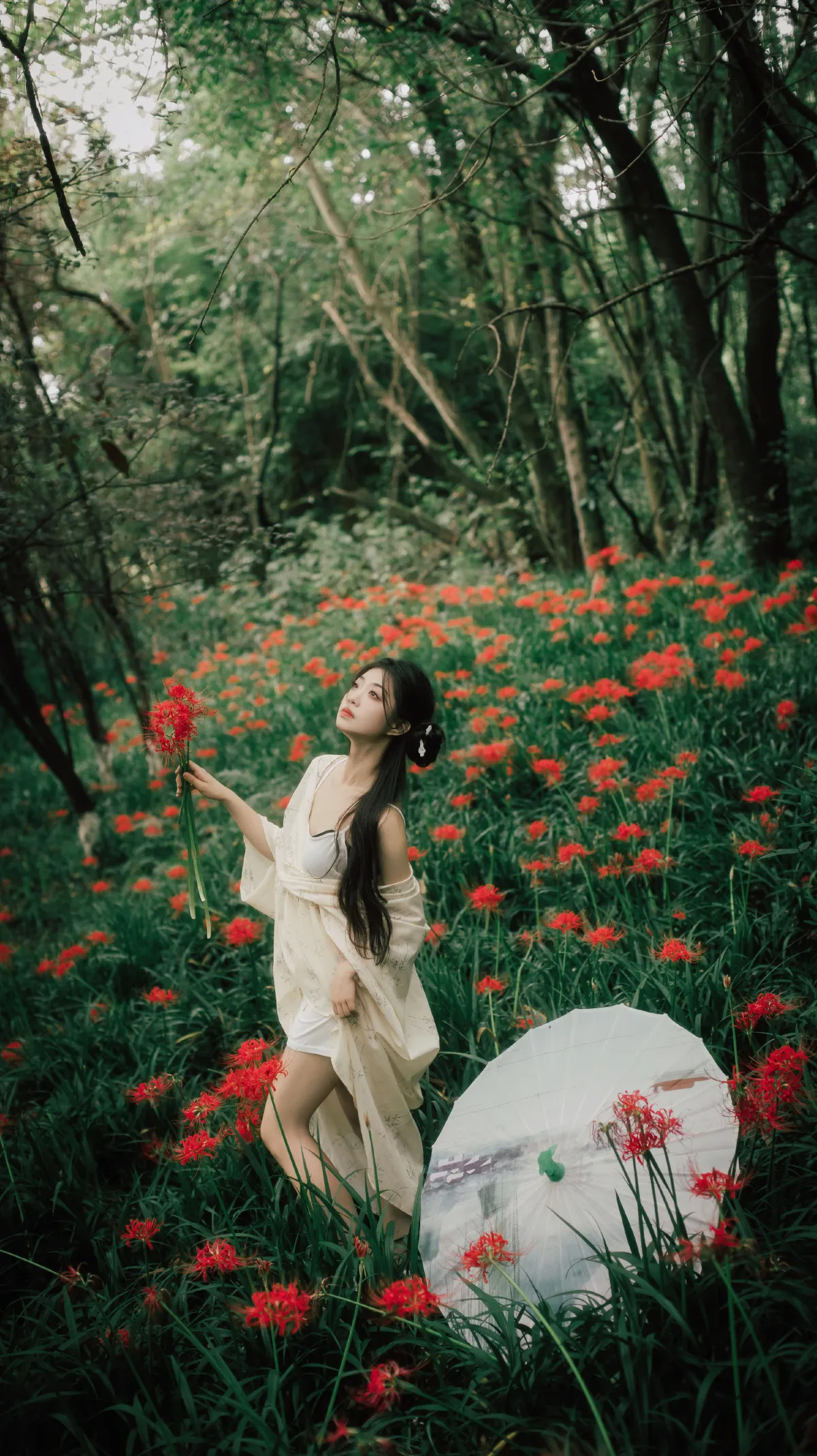 青陵_小小吴《曼珠沙华》美图作品图片4