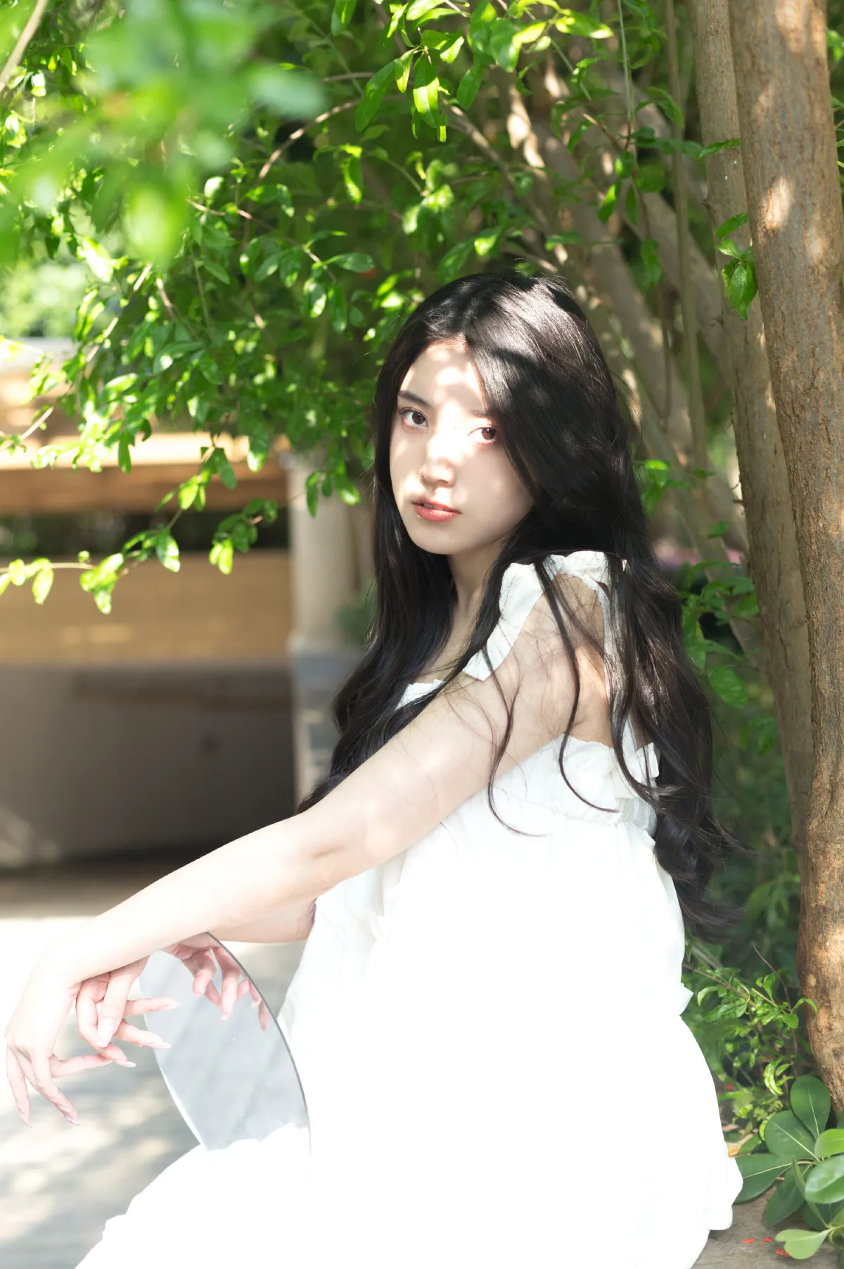 绿色的风3