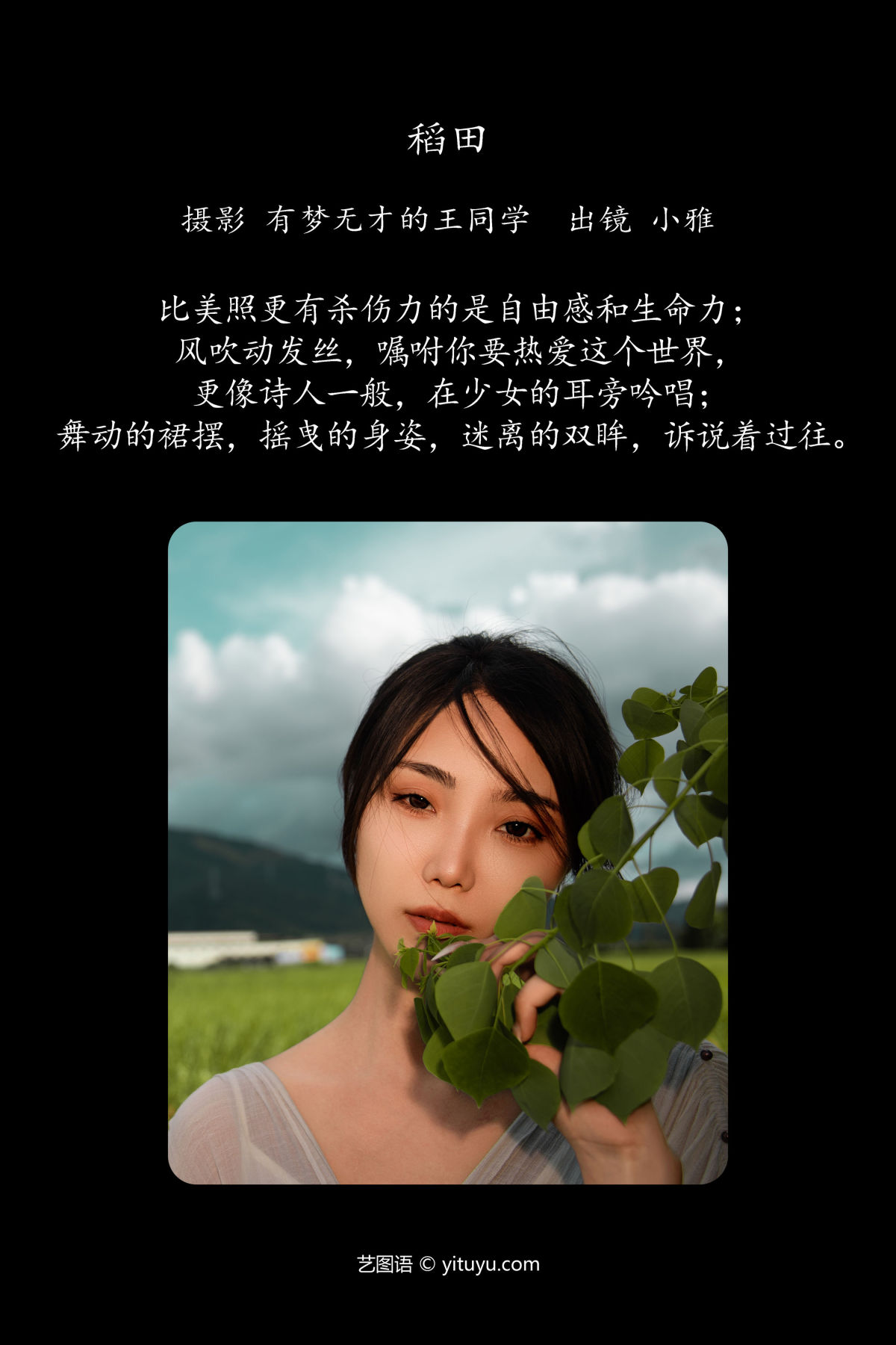 有梦无才的王同学_小雅《稻田》美图作品图片2