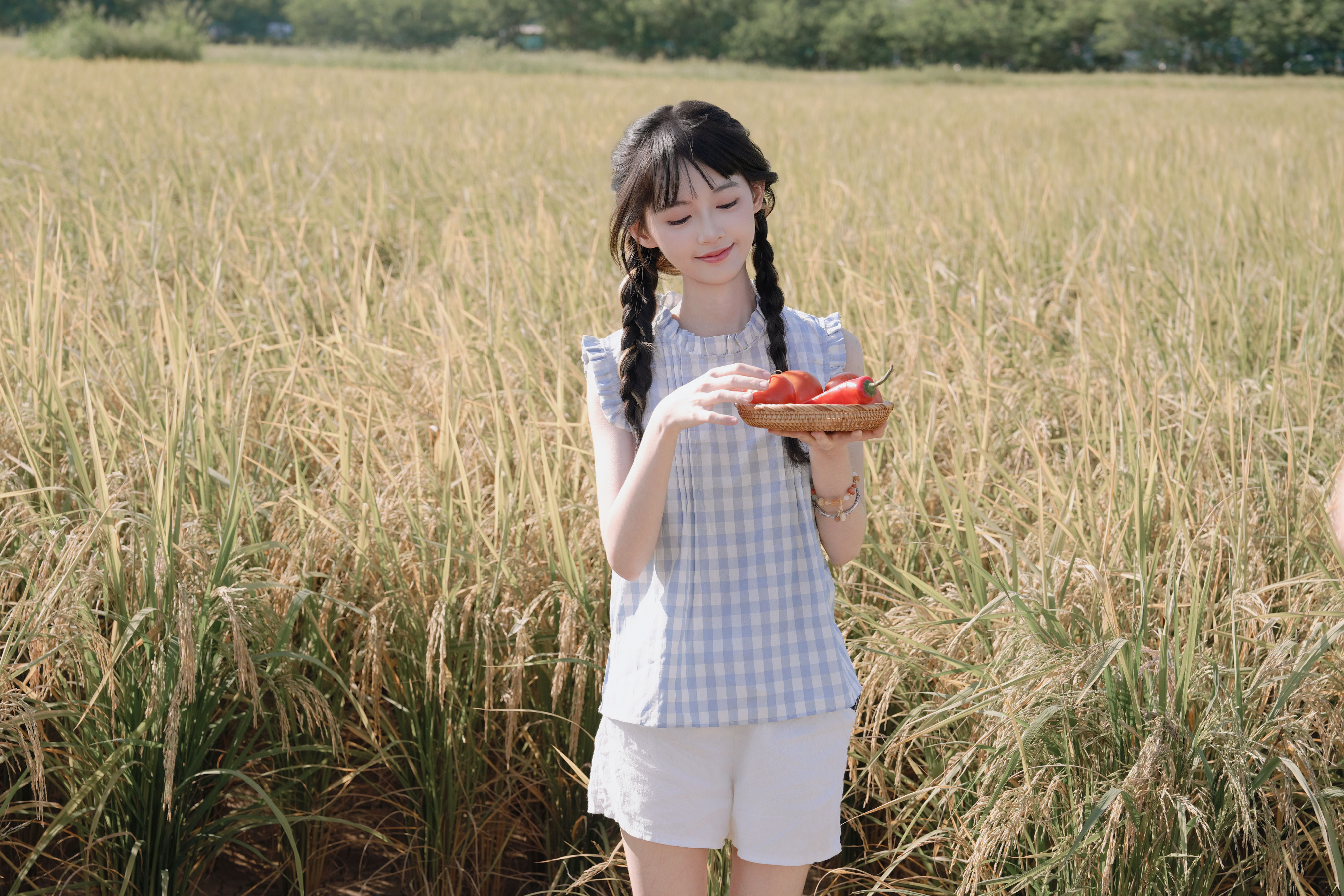 花田稻香，少女轻颜