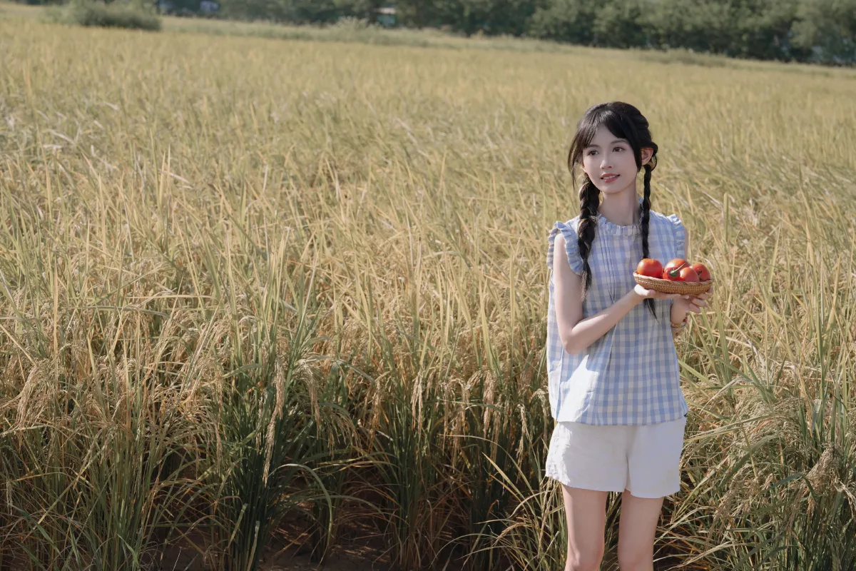 花田稻香，少女轻颜
