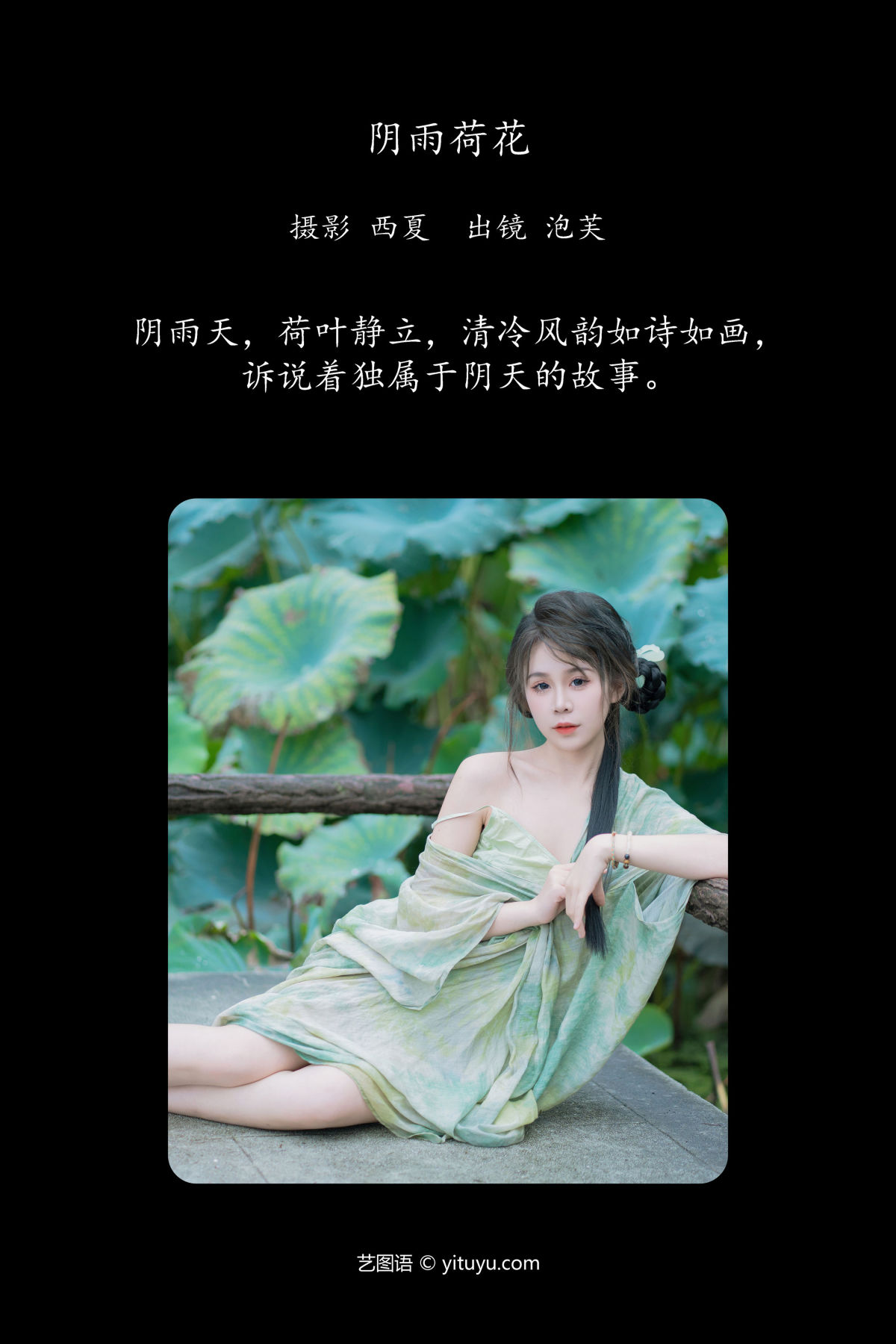 西夏_泡芙小方《阴雨荷花》美图作品图片2