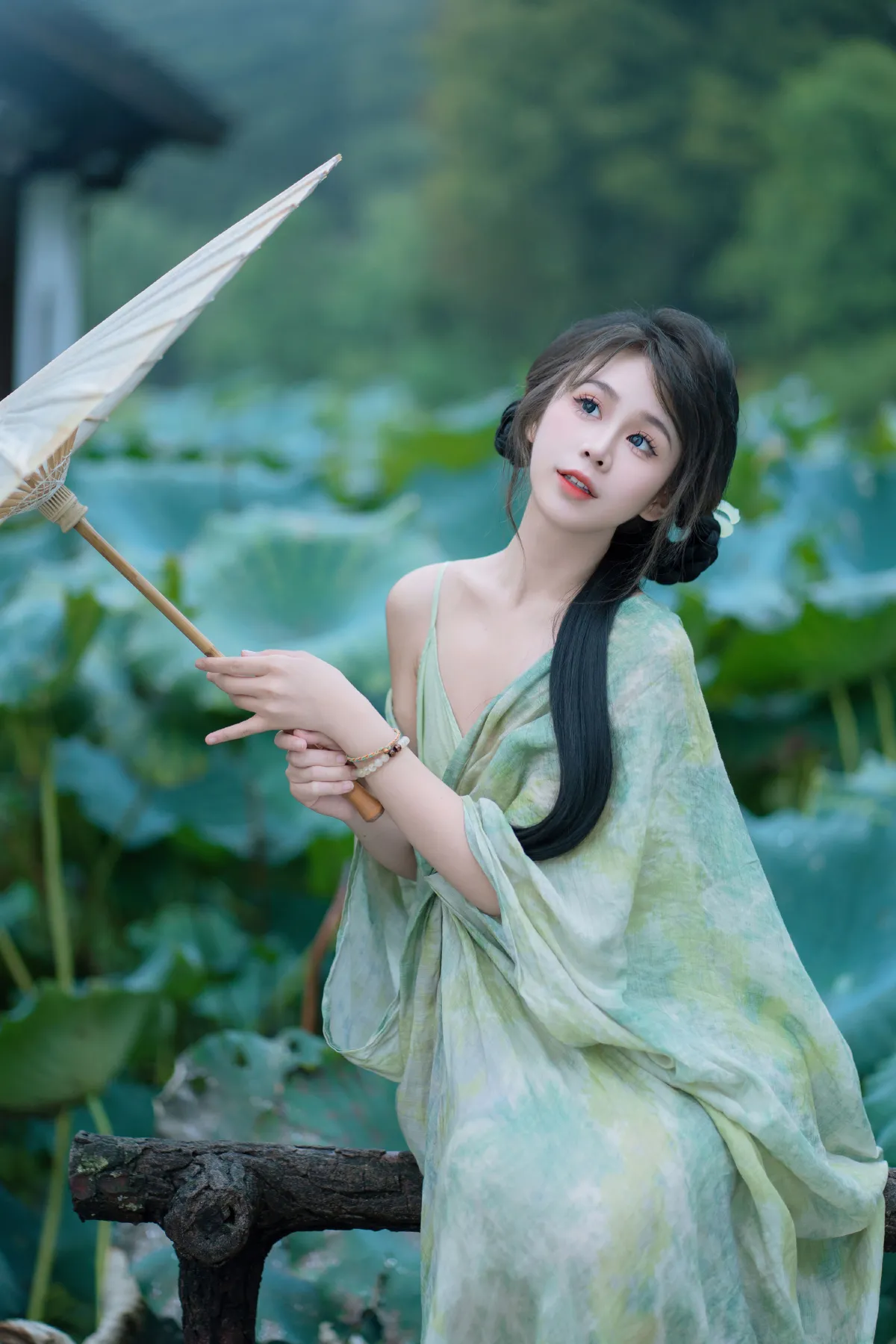 阴雨荷花5