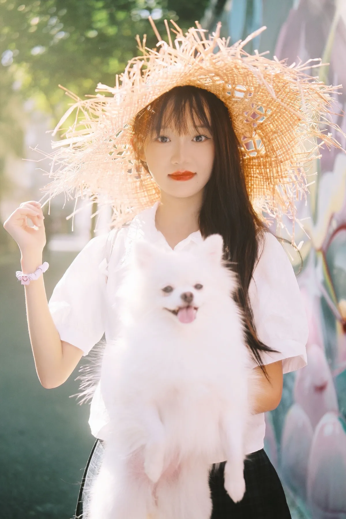 我的狗狗1
