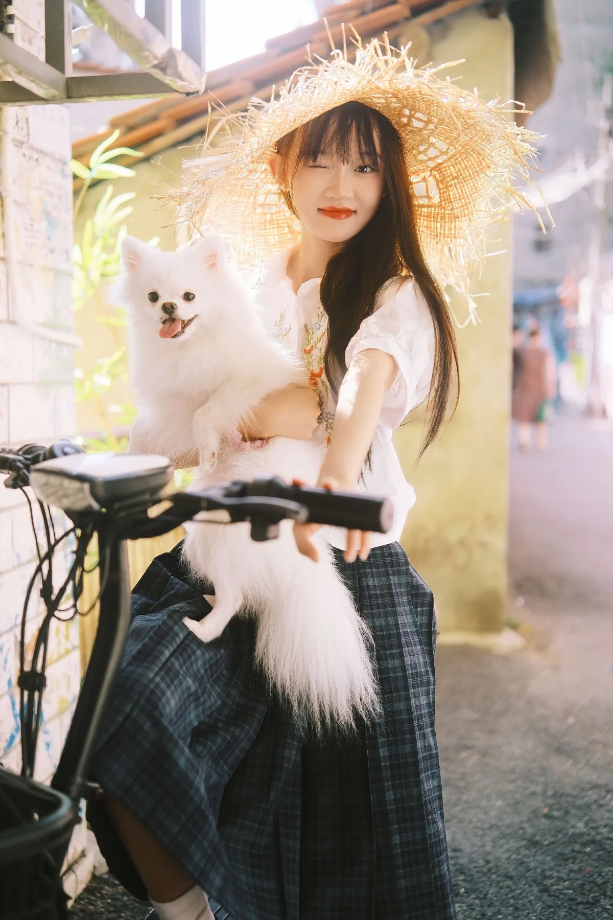 我的狗狗2