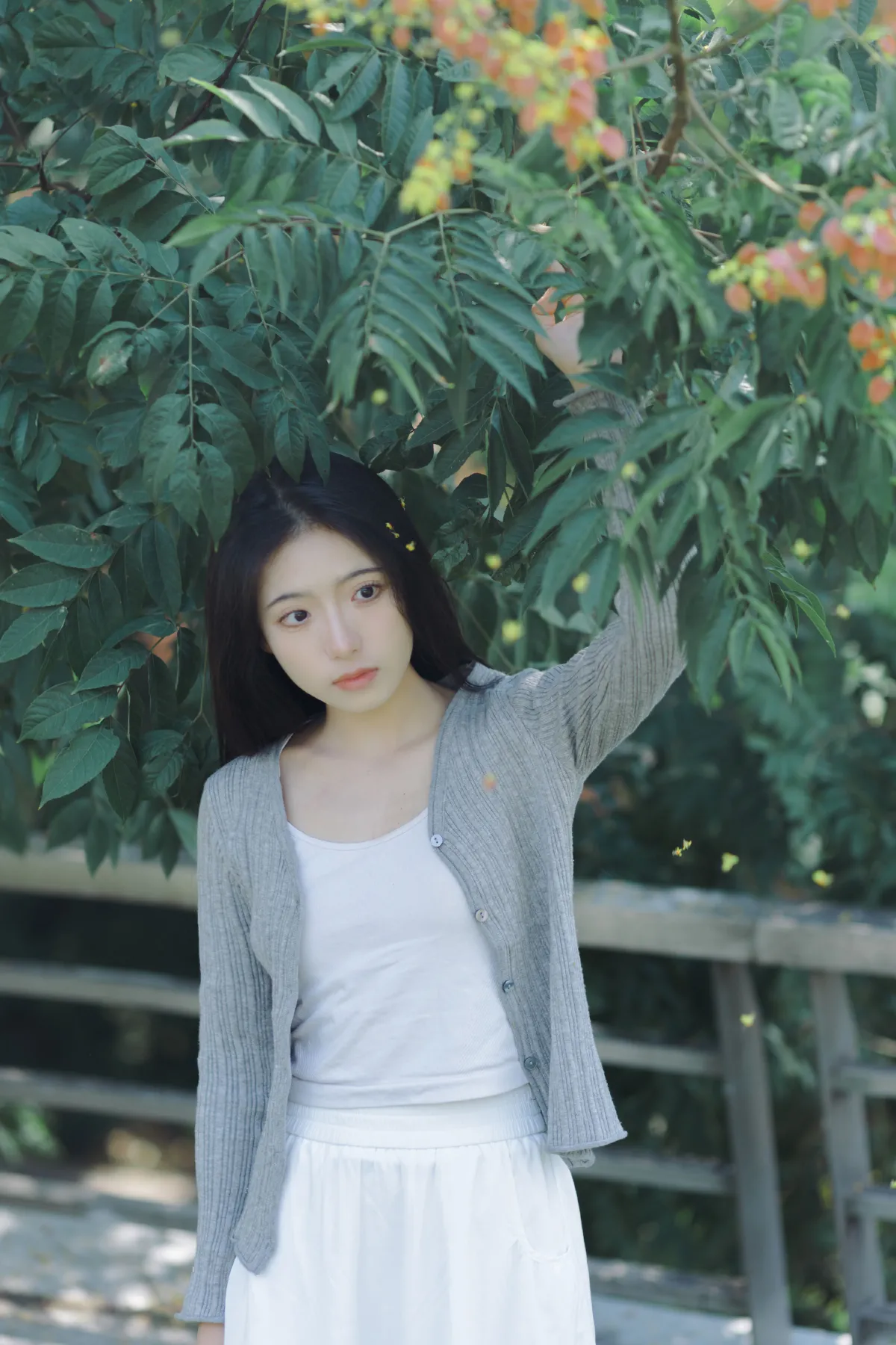 秋的灿烂