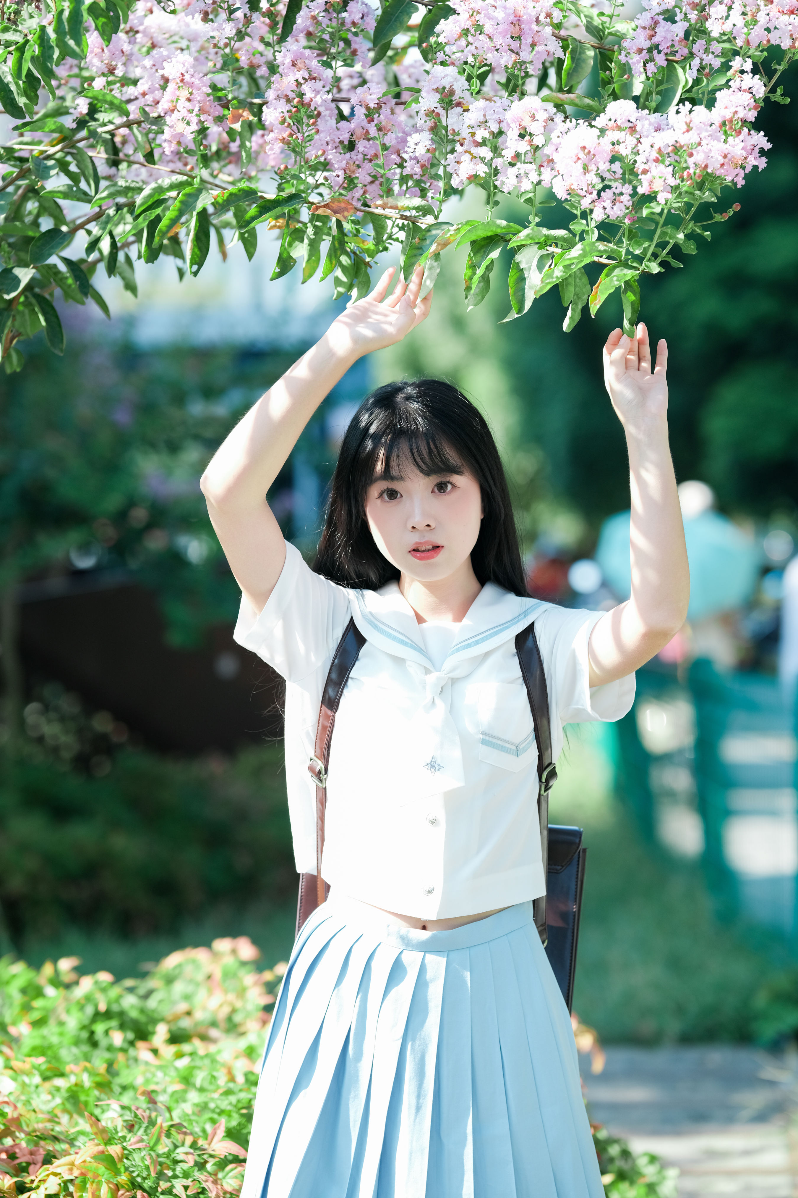 那棵树