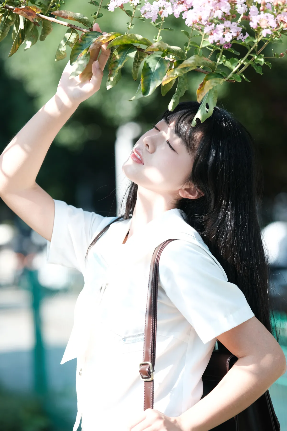 那棵树2